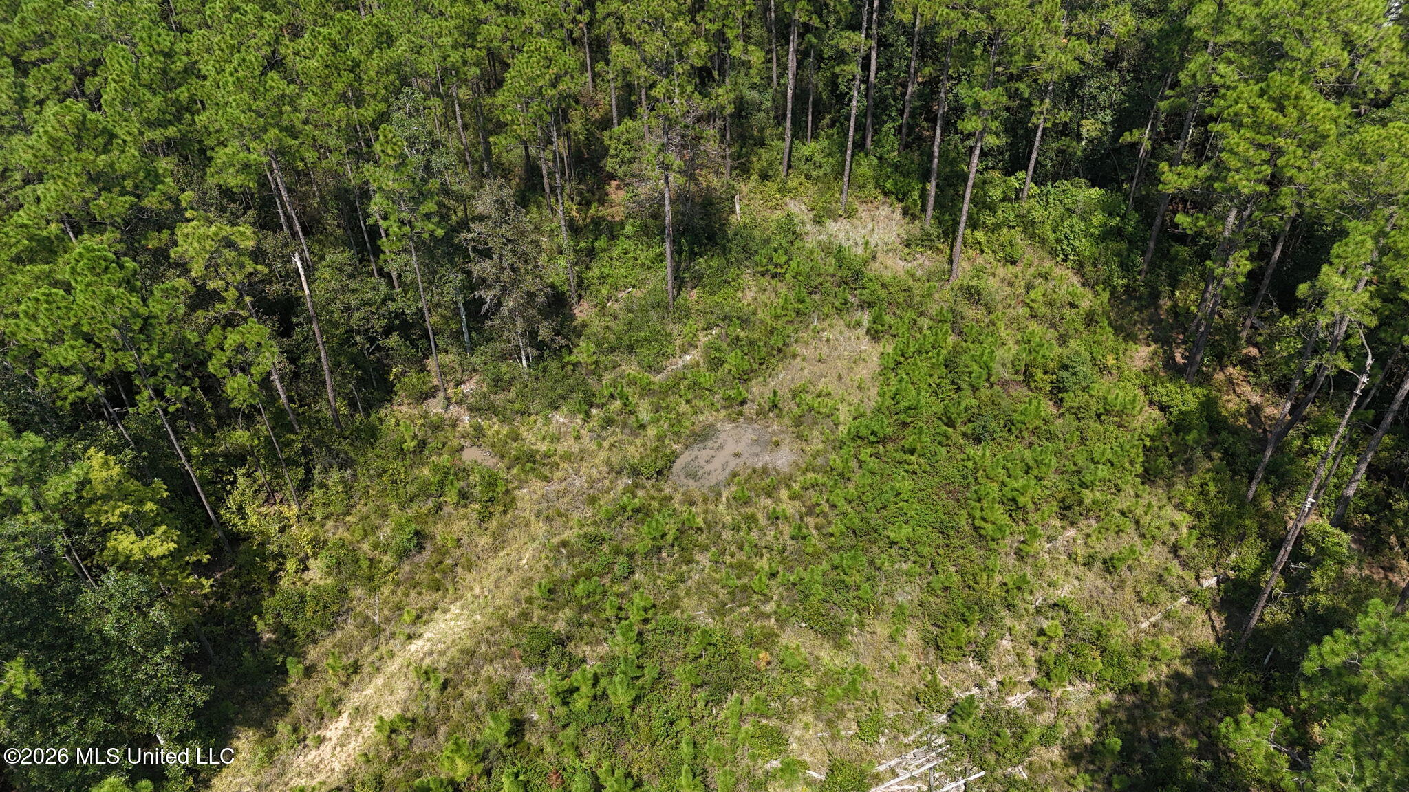 0 Sycamore Property Photo 13