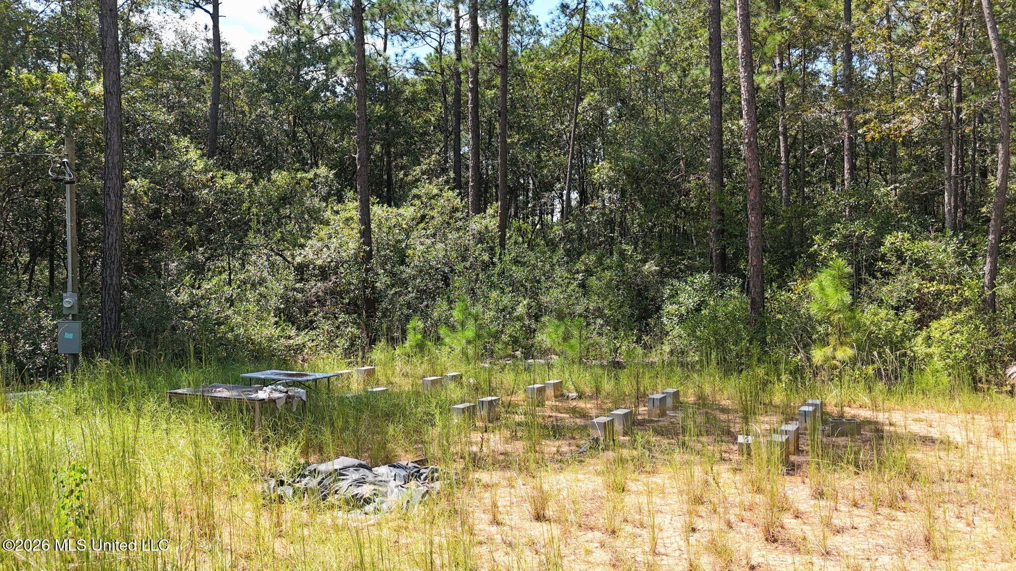 0 Sycamore Property Photo 14