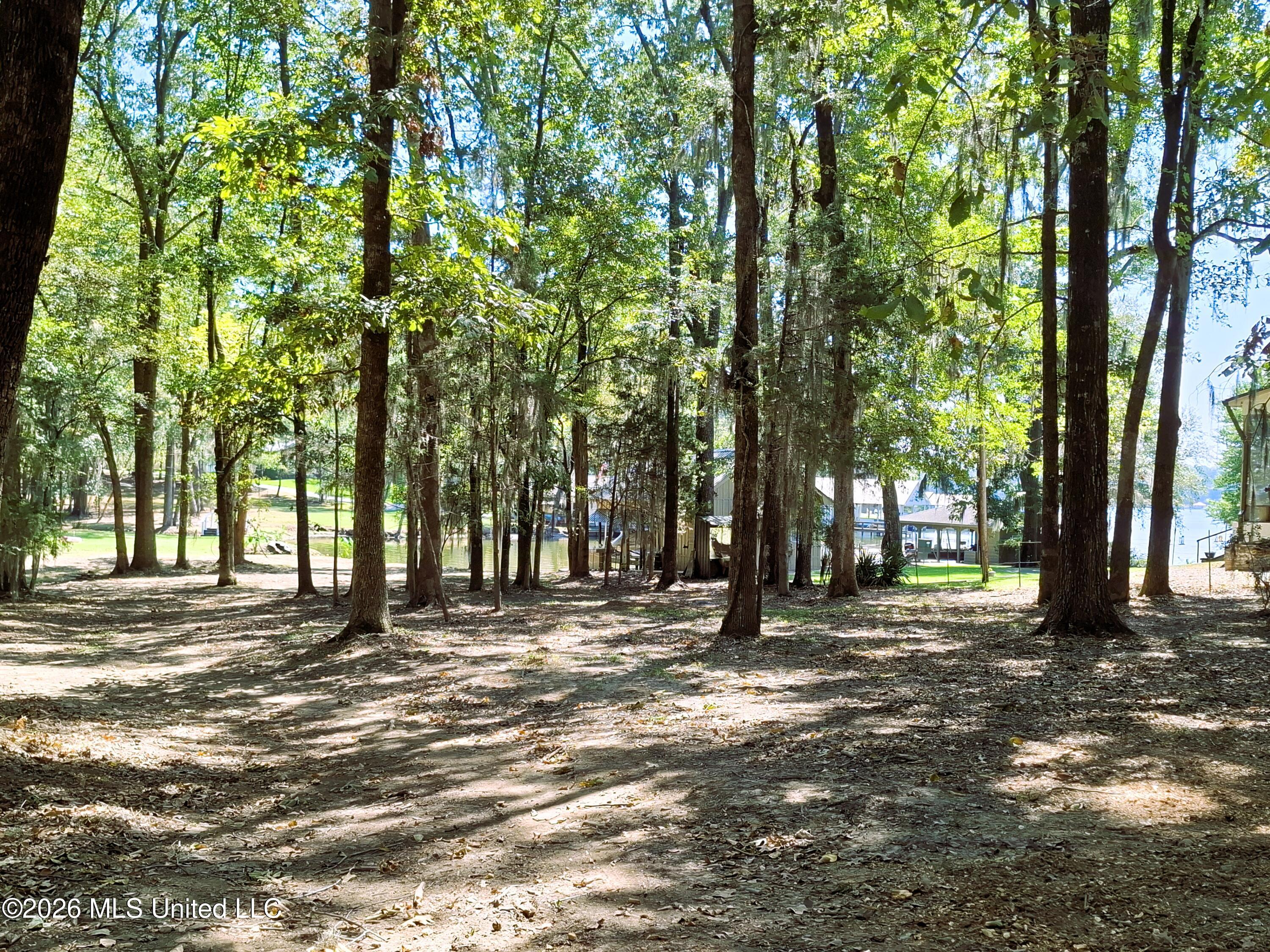 125 Shady Lane Property Photo 8
