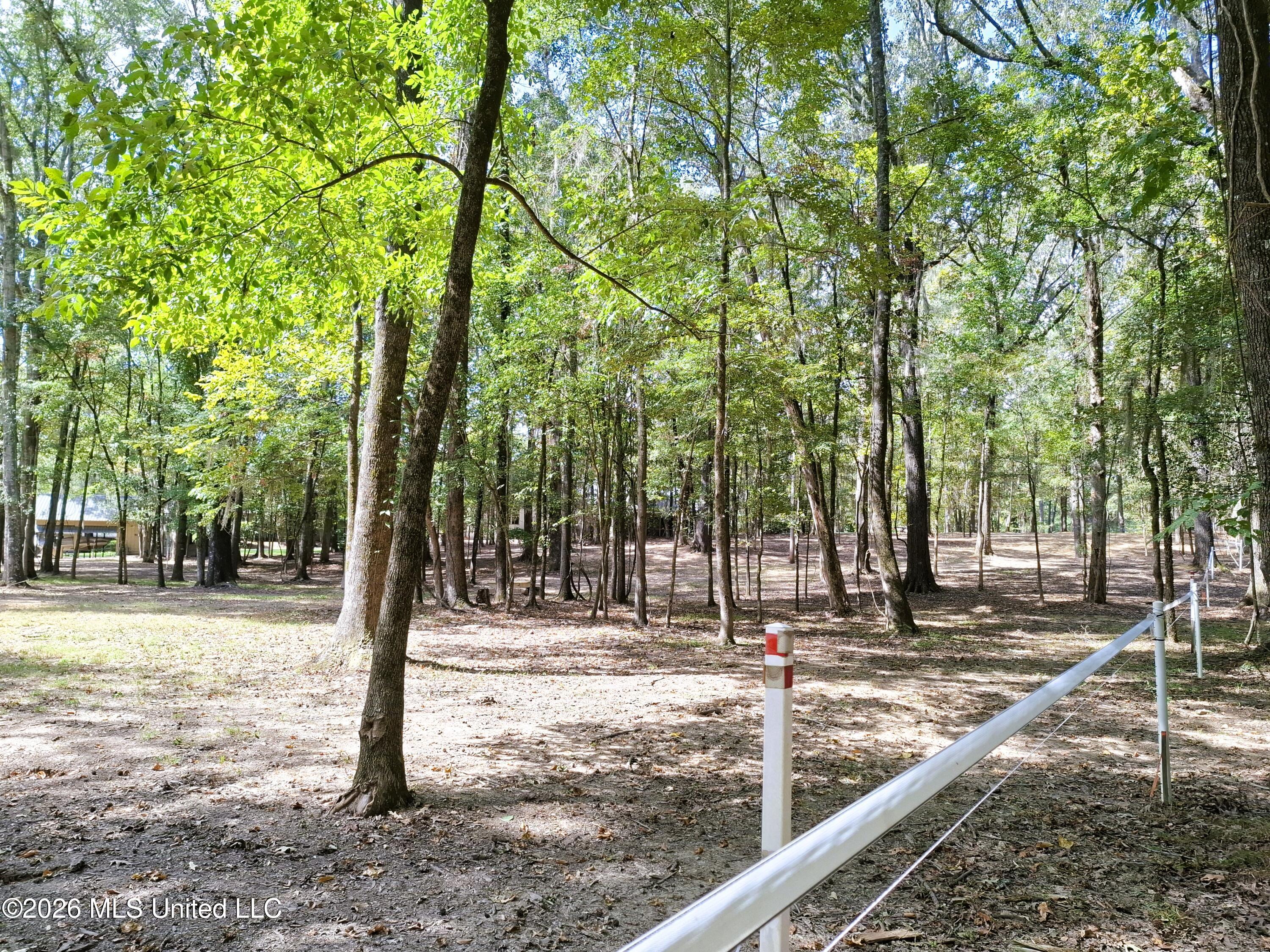 125 Shady Lane Property Photo 12