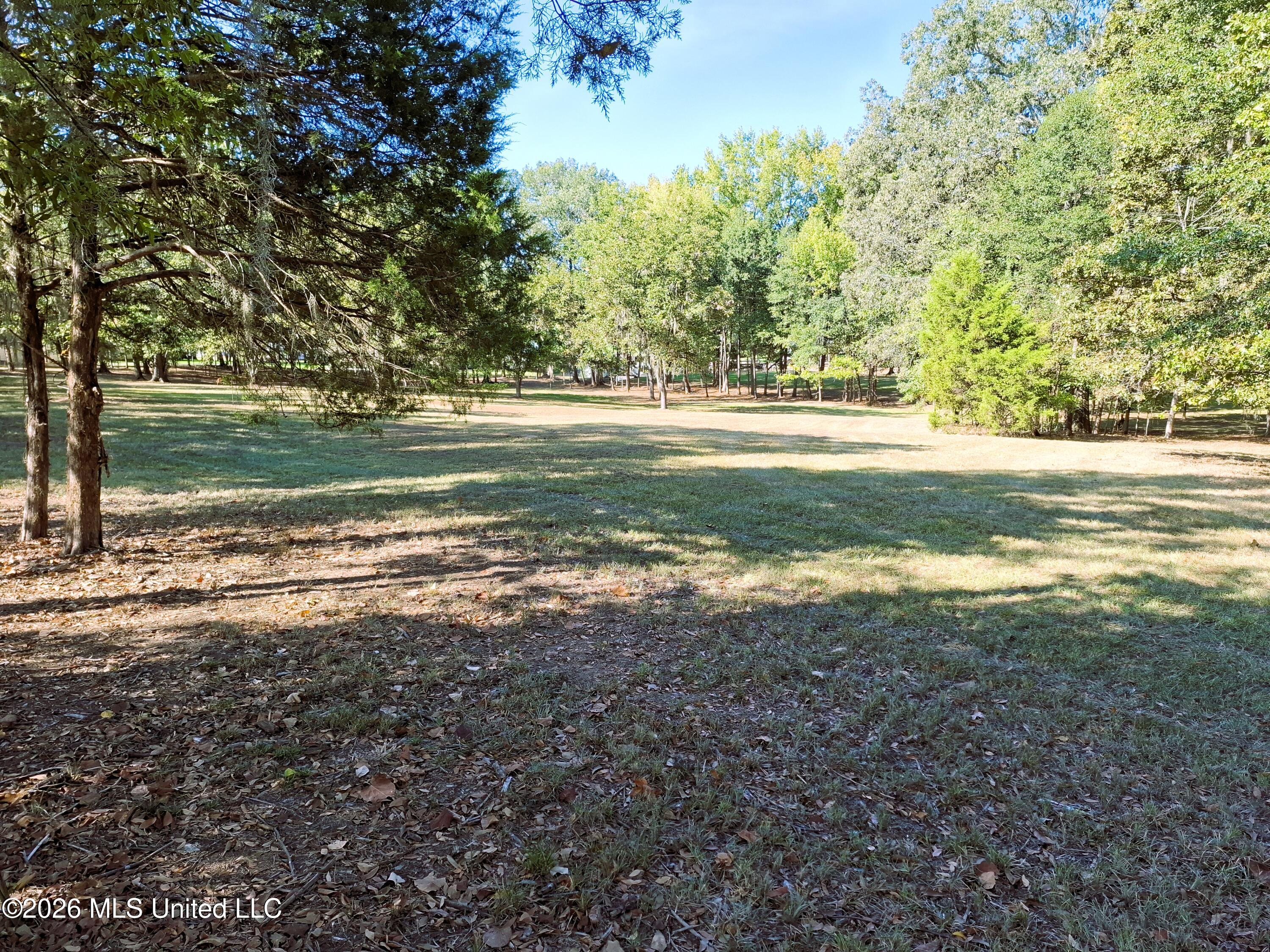 125 Shady Lane Property Photo 15