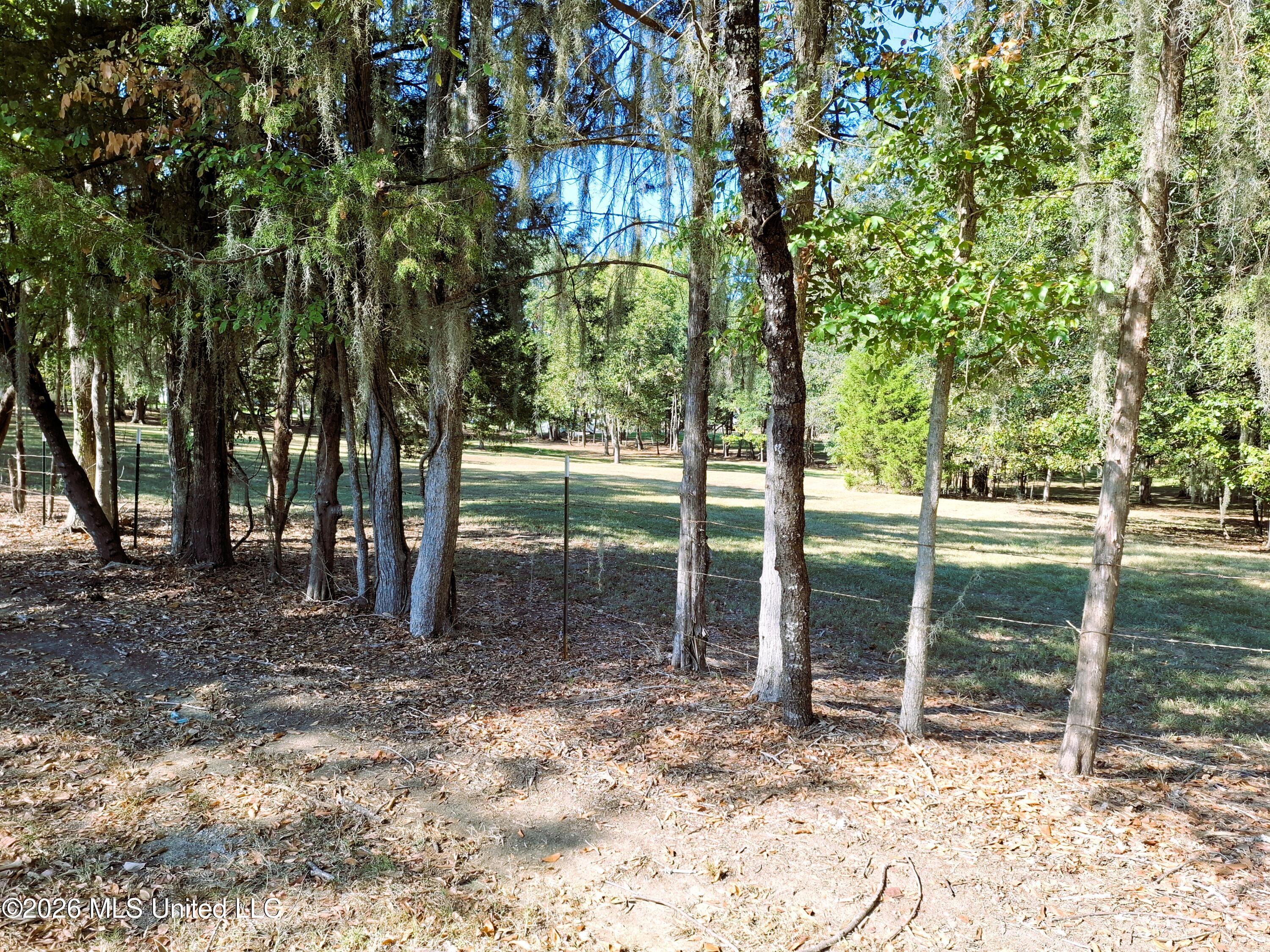 125 Shady Lane Property Photo 17