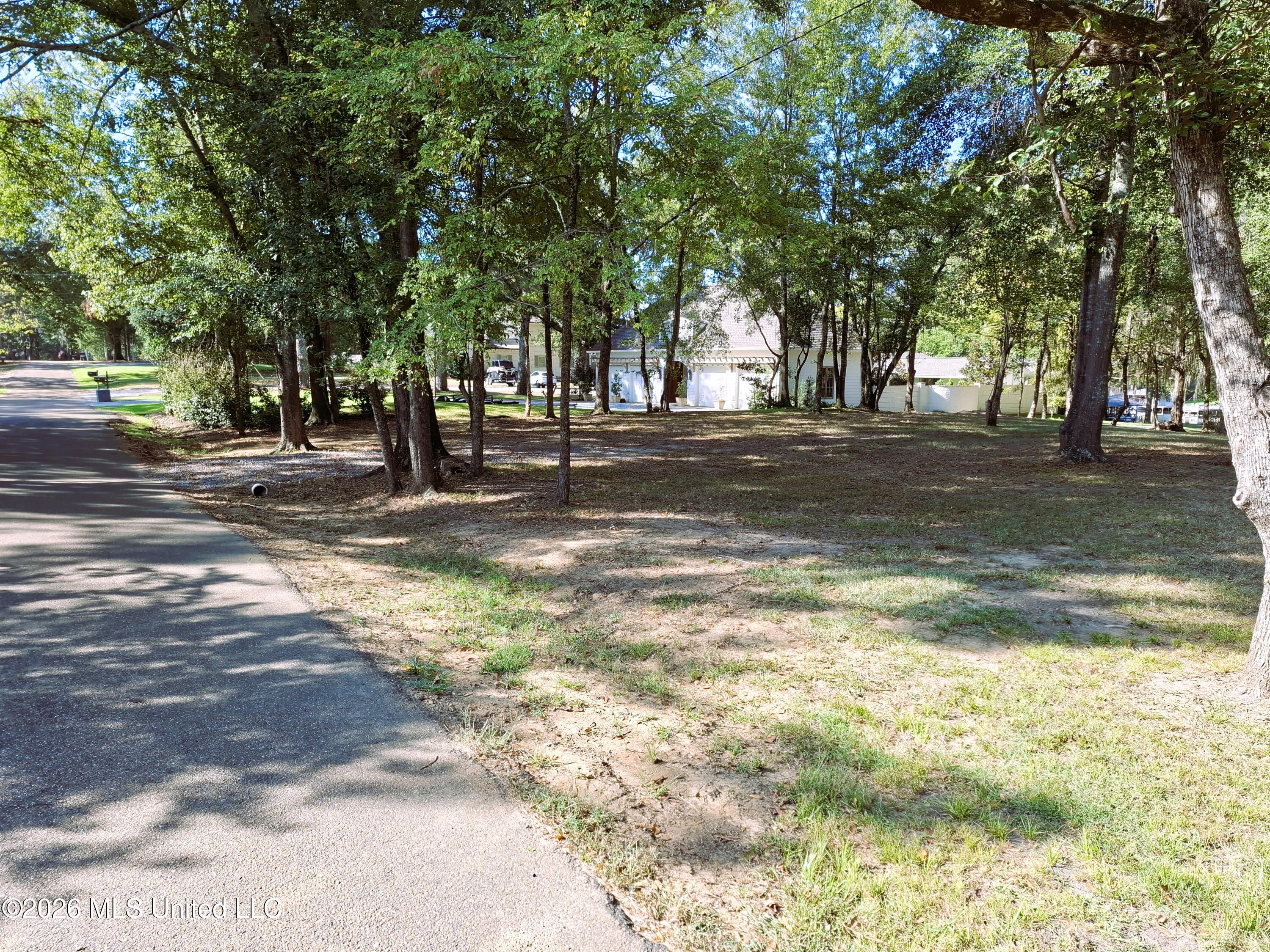 123 Shady Lane Property Photo 2