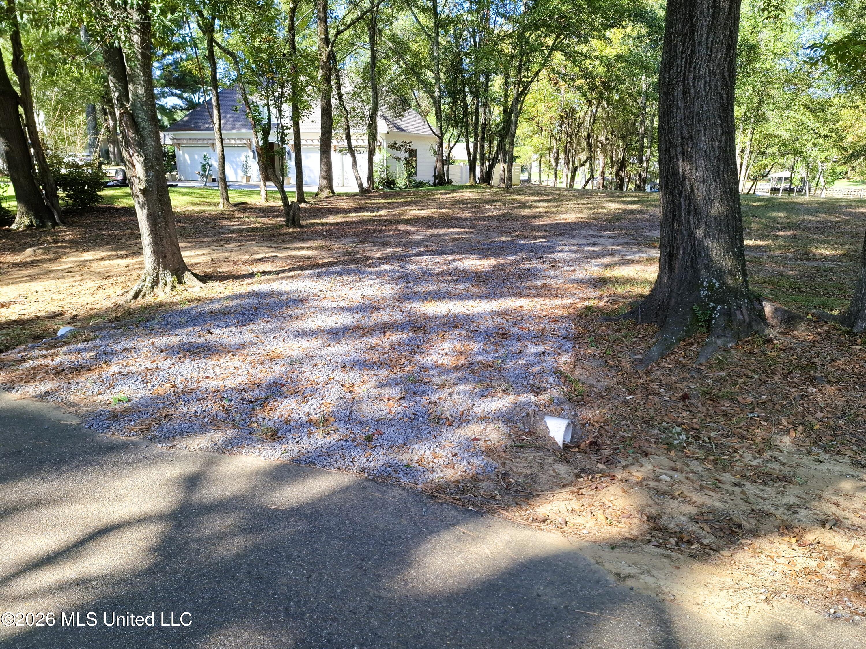 123 Shady Lane Property Photo 3