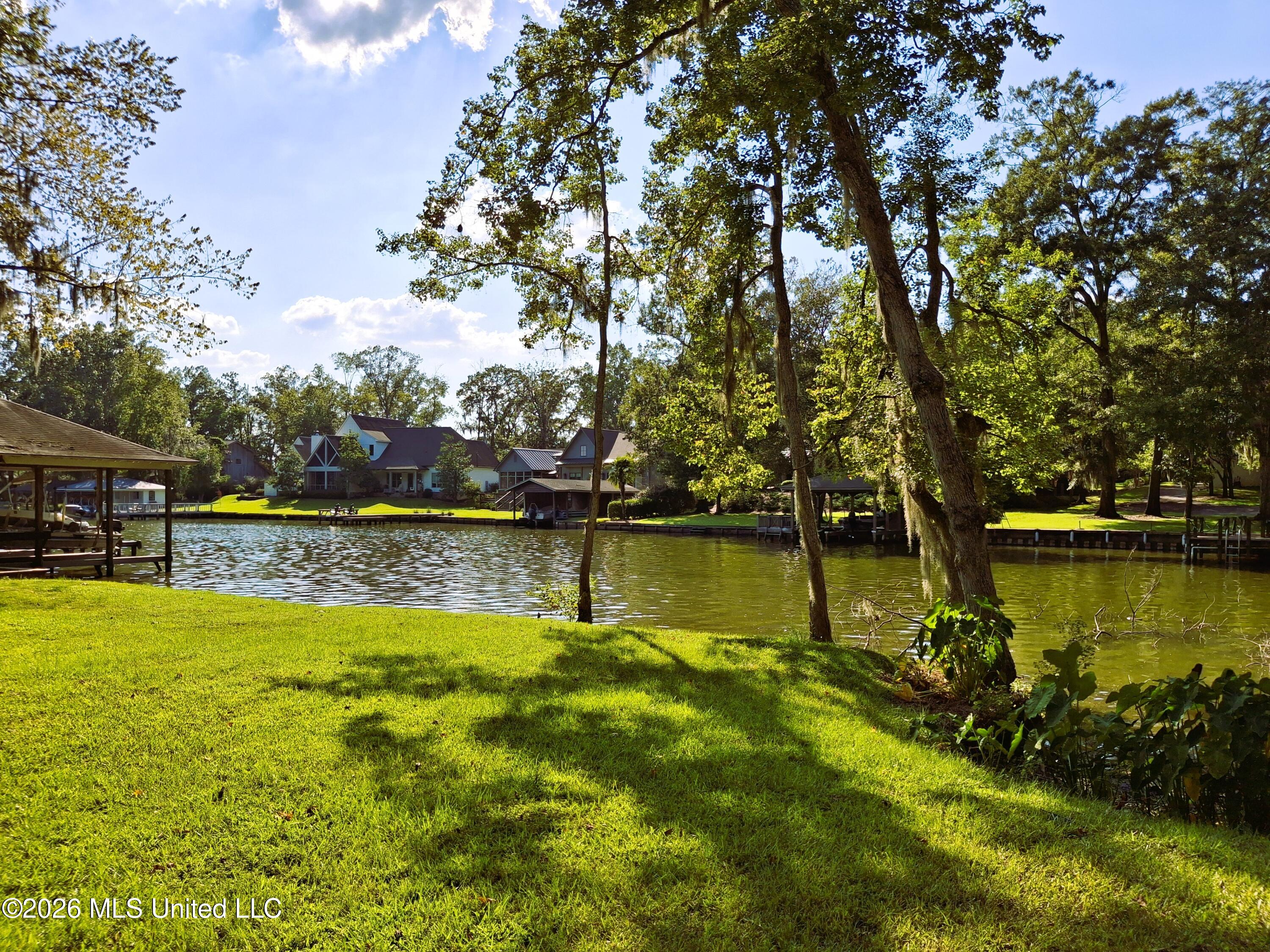 123 Shady Lane Property Photo 4