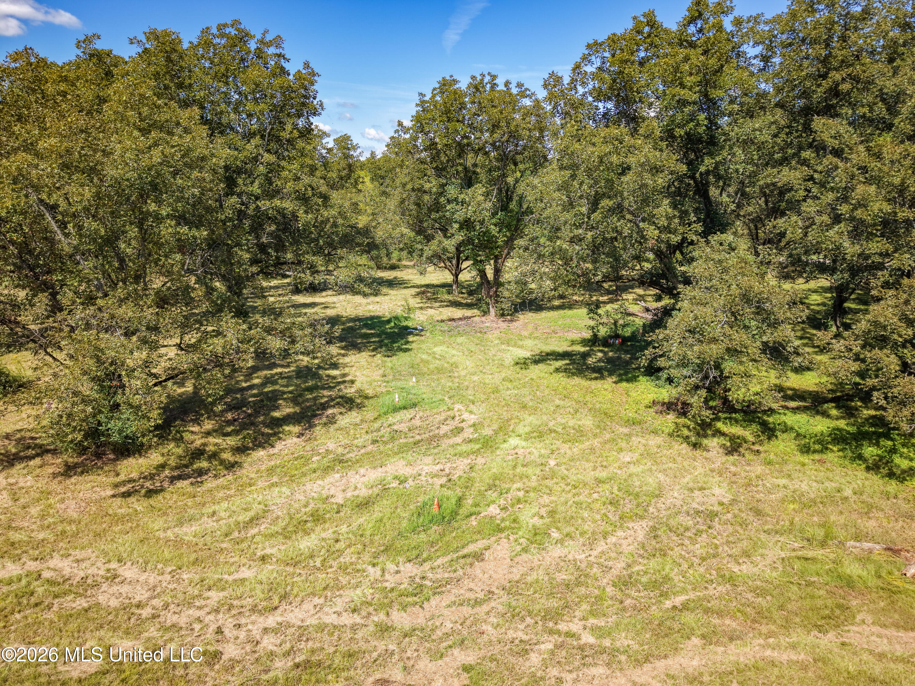 2321 Old Highway 25 Property Photo 4