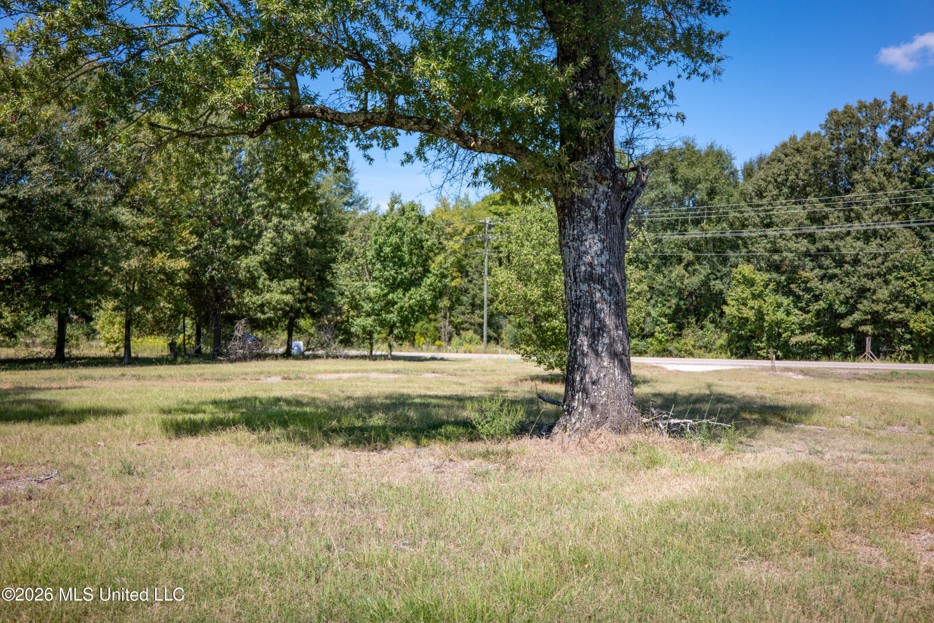2321 Old Highway 25 Property Photo 6