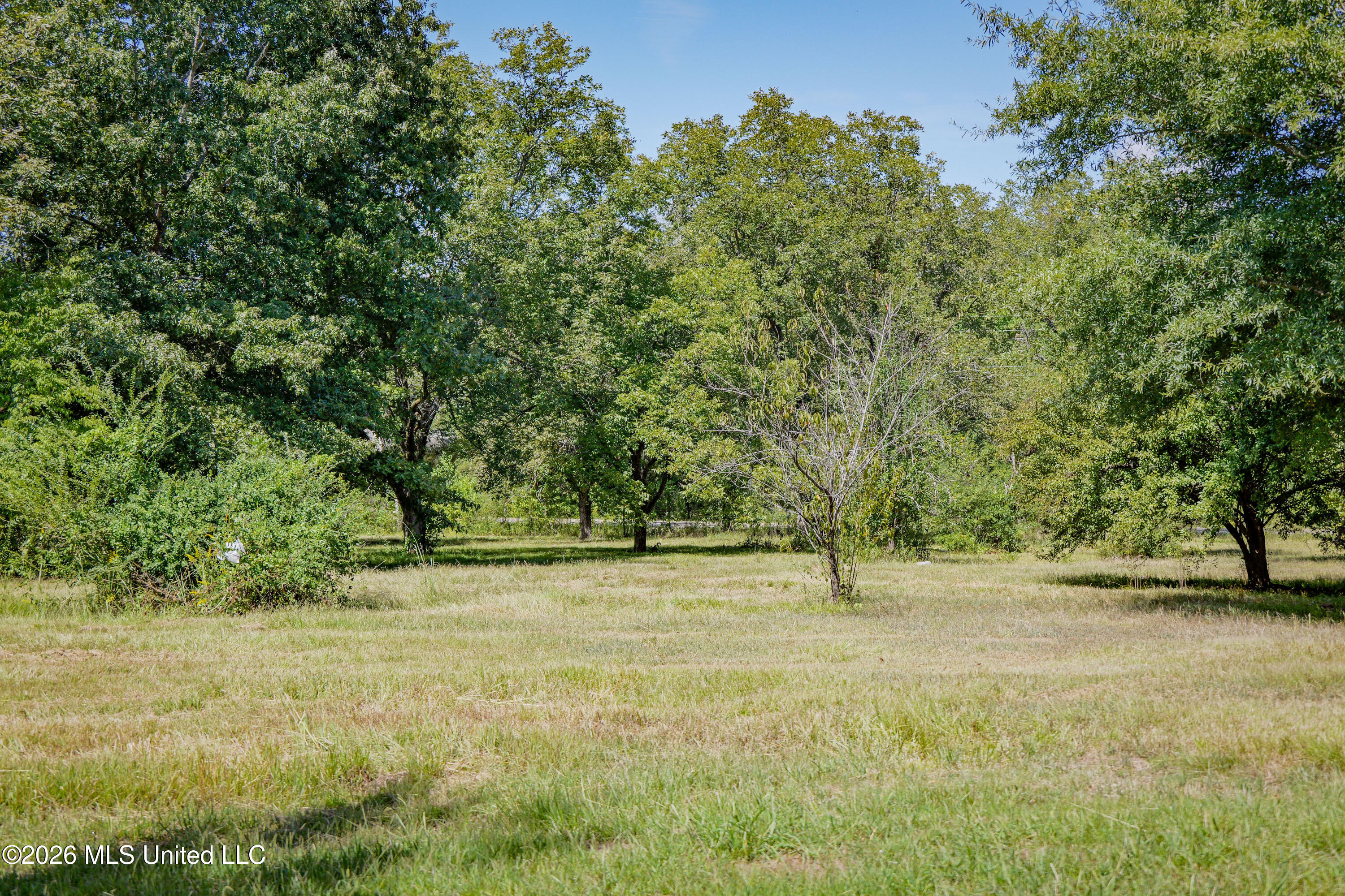 2321 Old Highway 25 Property Photo 8