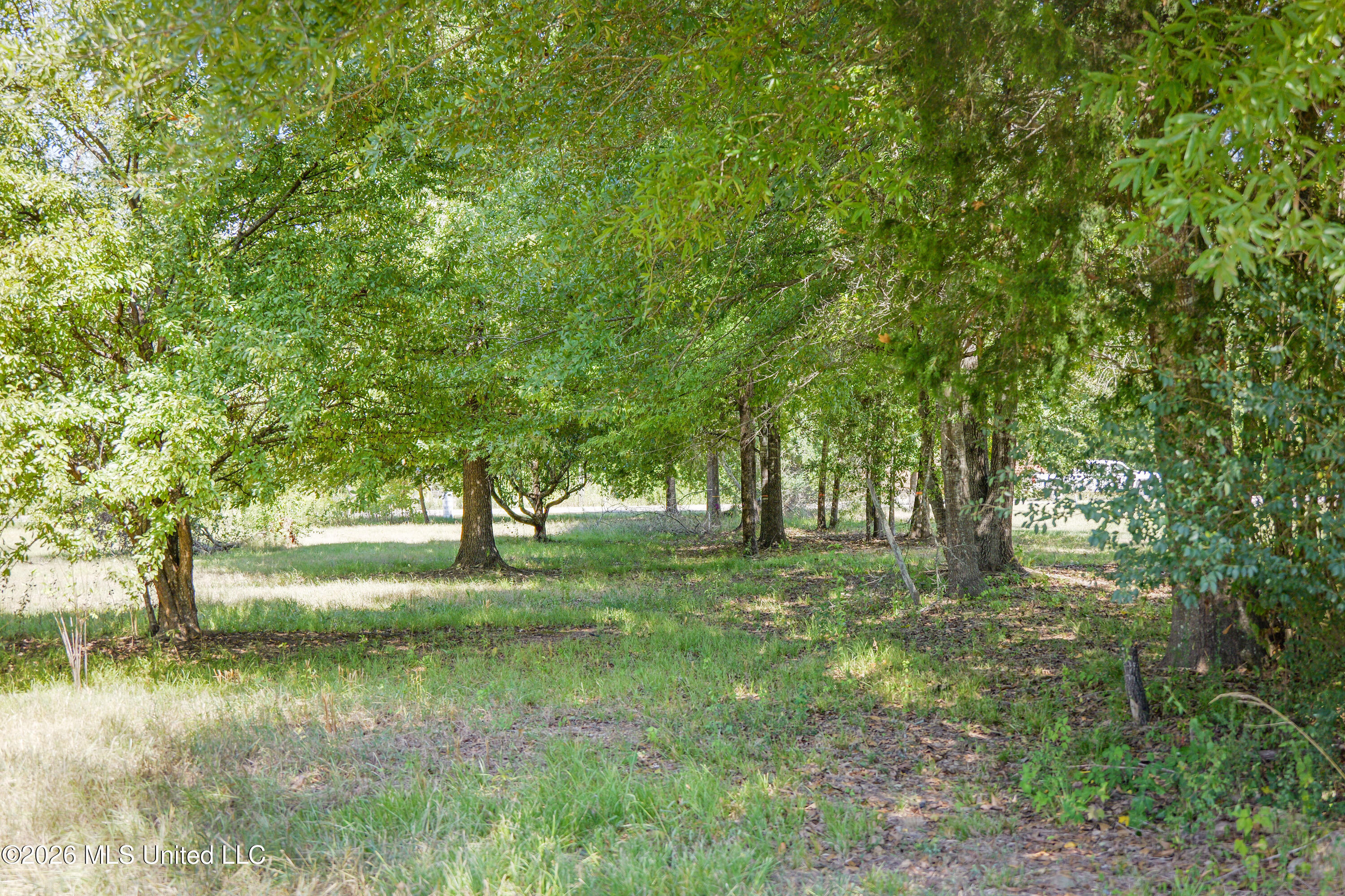 2321 Old Highway 25 Property Photo 10