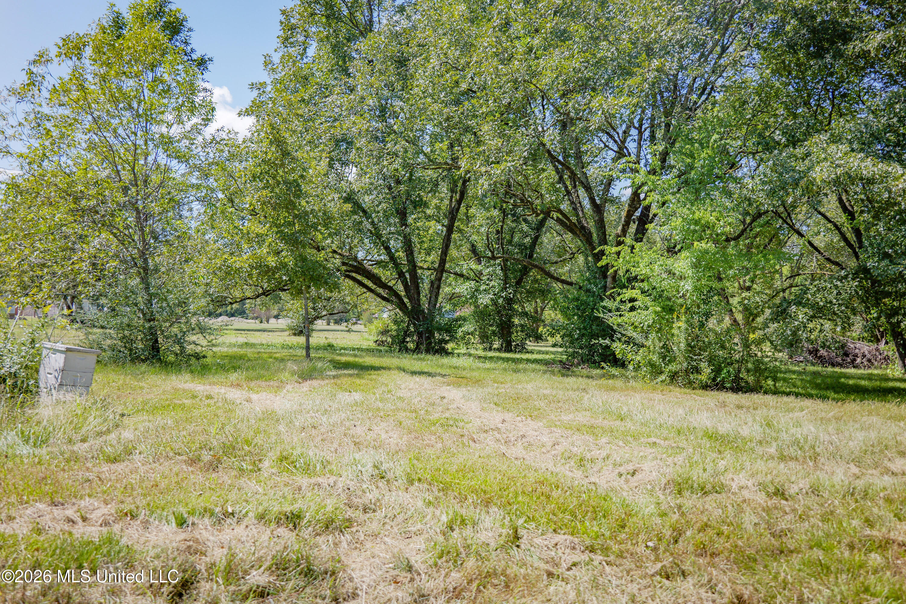 2321 Old Highway 25 Property Photo 11