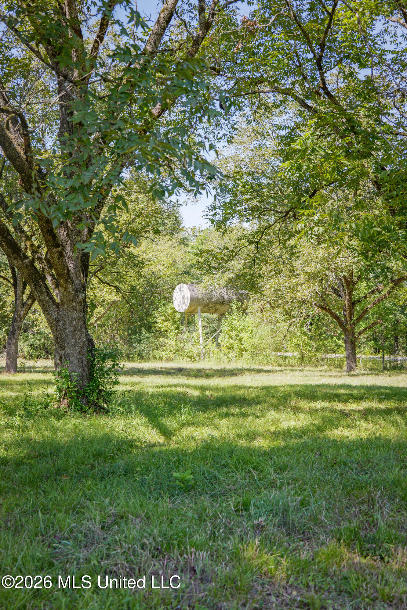 2321 Old Highway 25 Property Photo 12