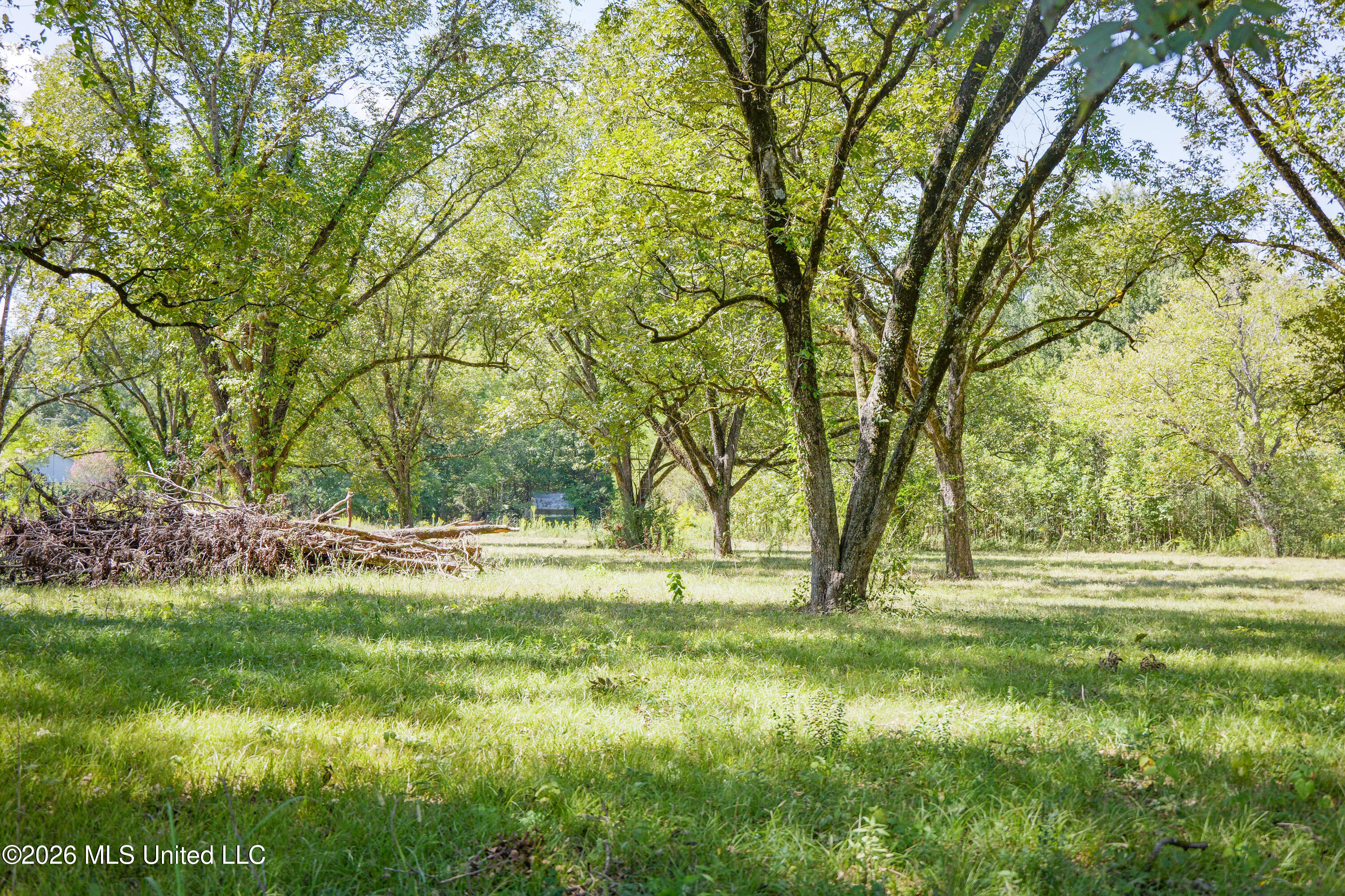 2321 Old Highway 25 Property Photo 13