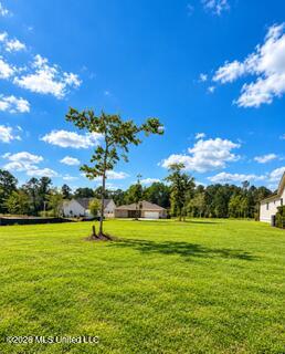 12475 Alphabet Road Property Photo 1
