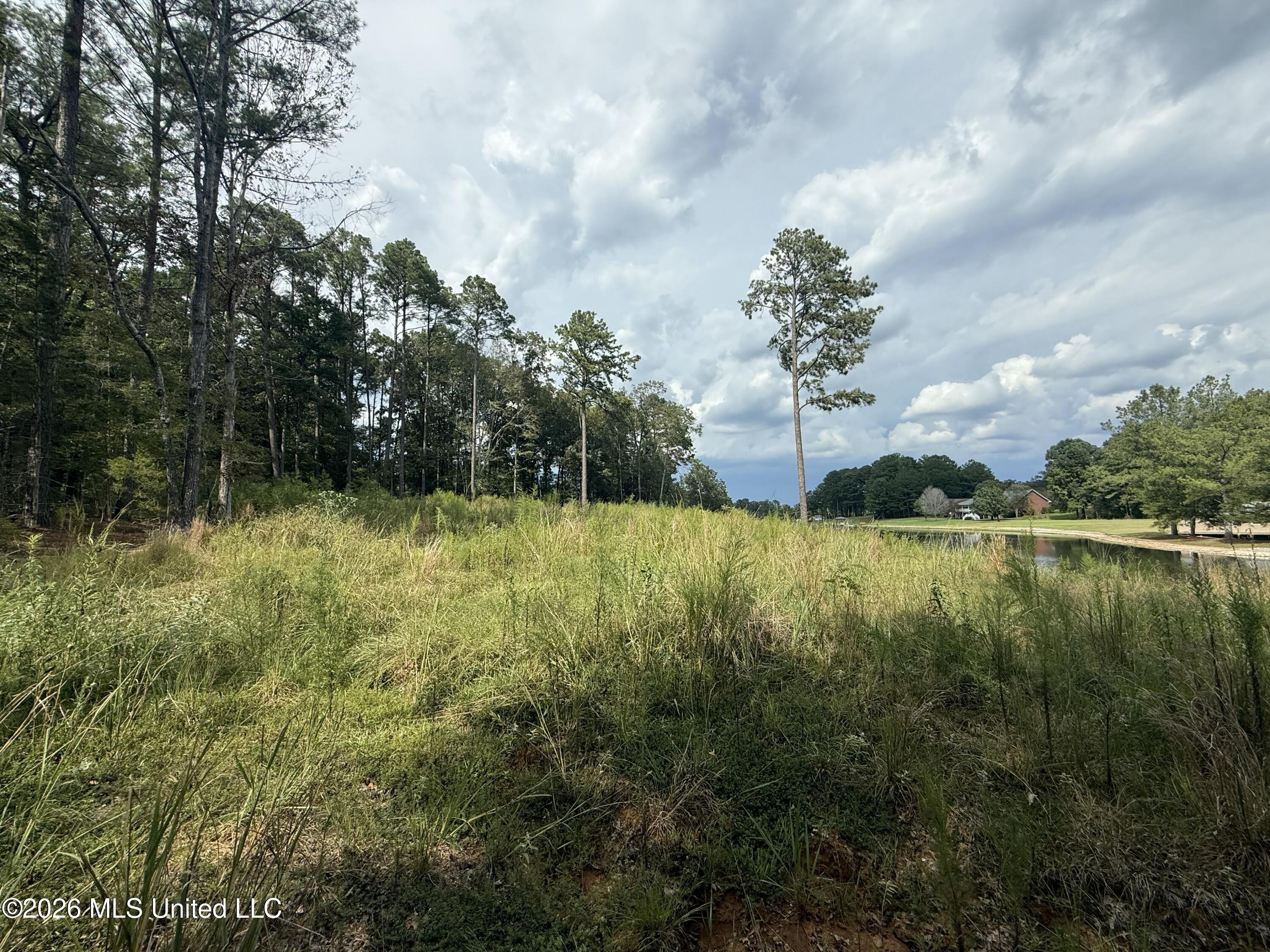 102 Cedar Ridge Drive Property Photo 3