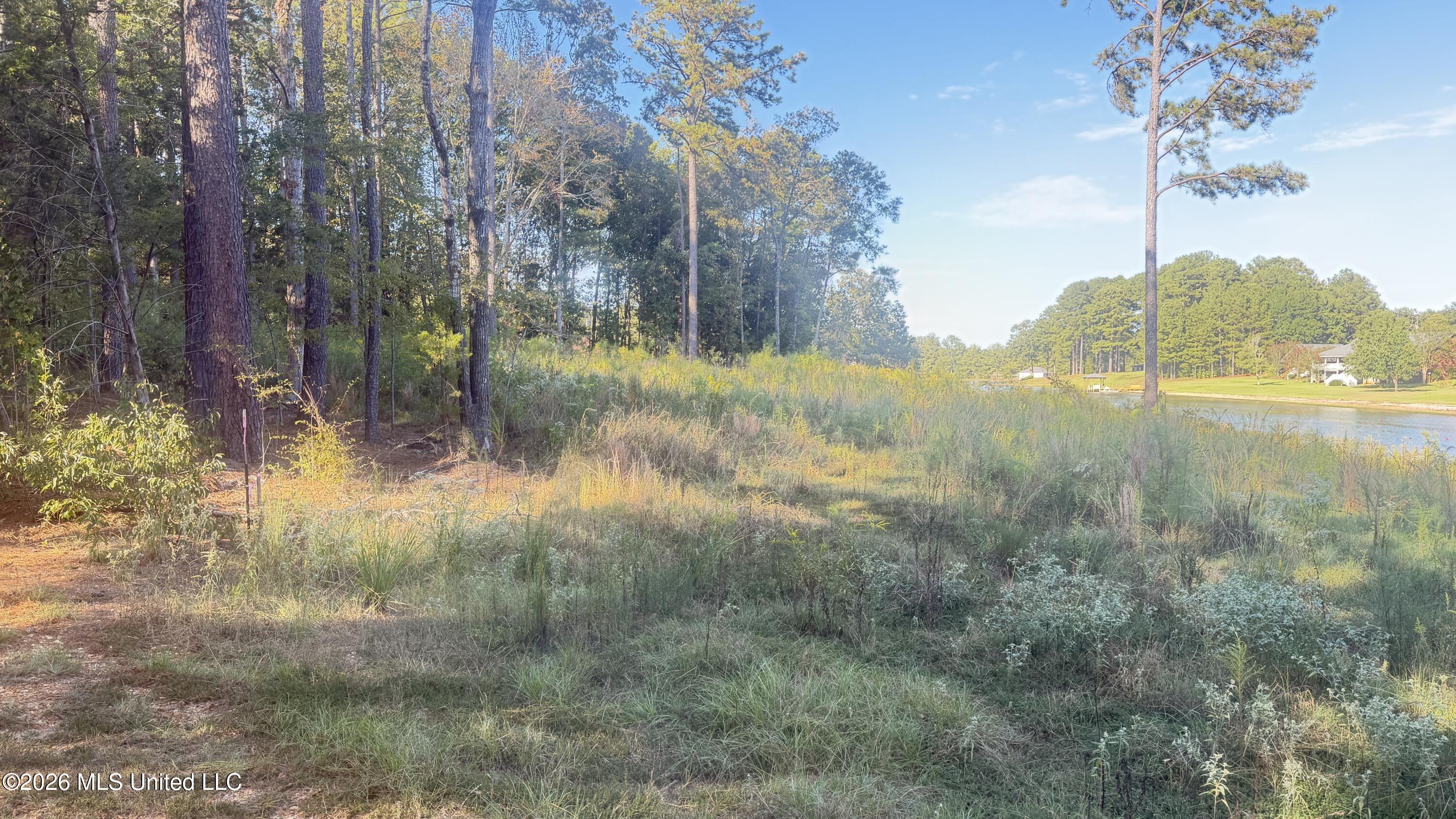 102 Cedar Ridge Drive Property Photo 6