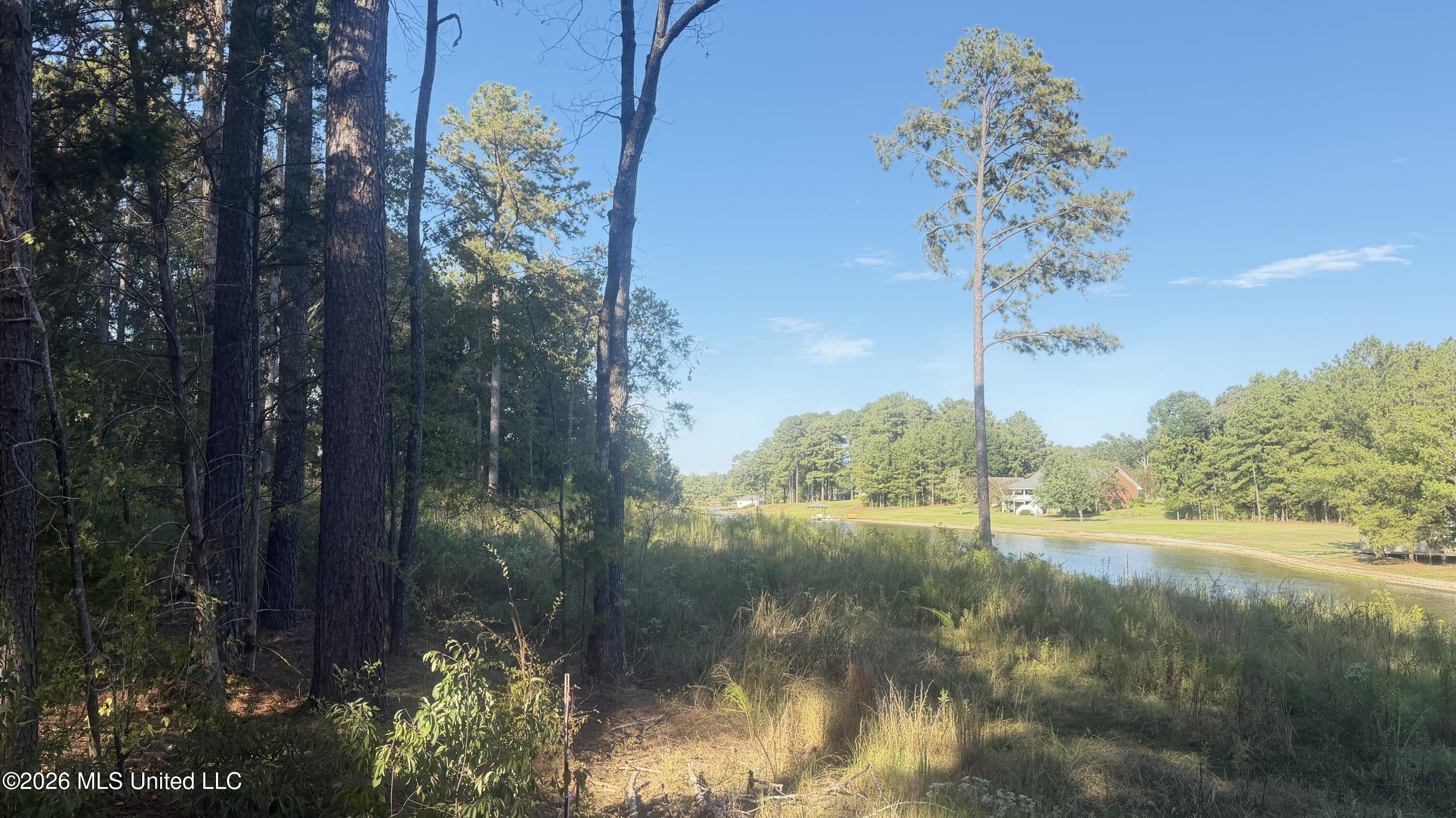 102 Cedar Ridge Drive Property Photo 8