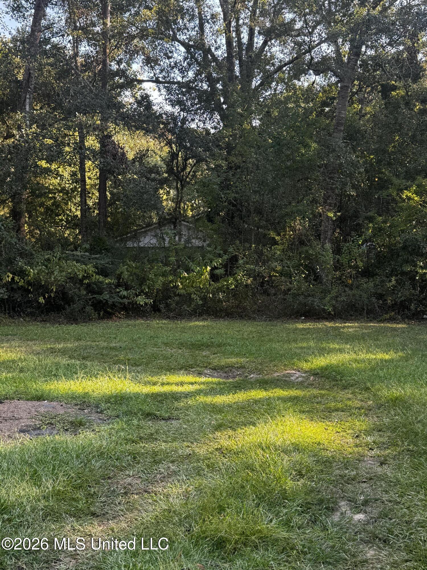 7611 Fish Hawk Road Property Photo 3