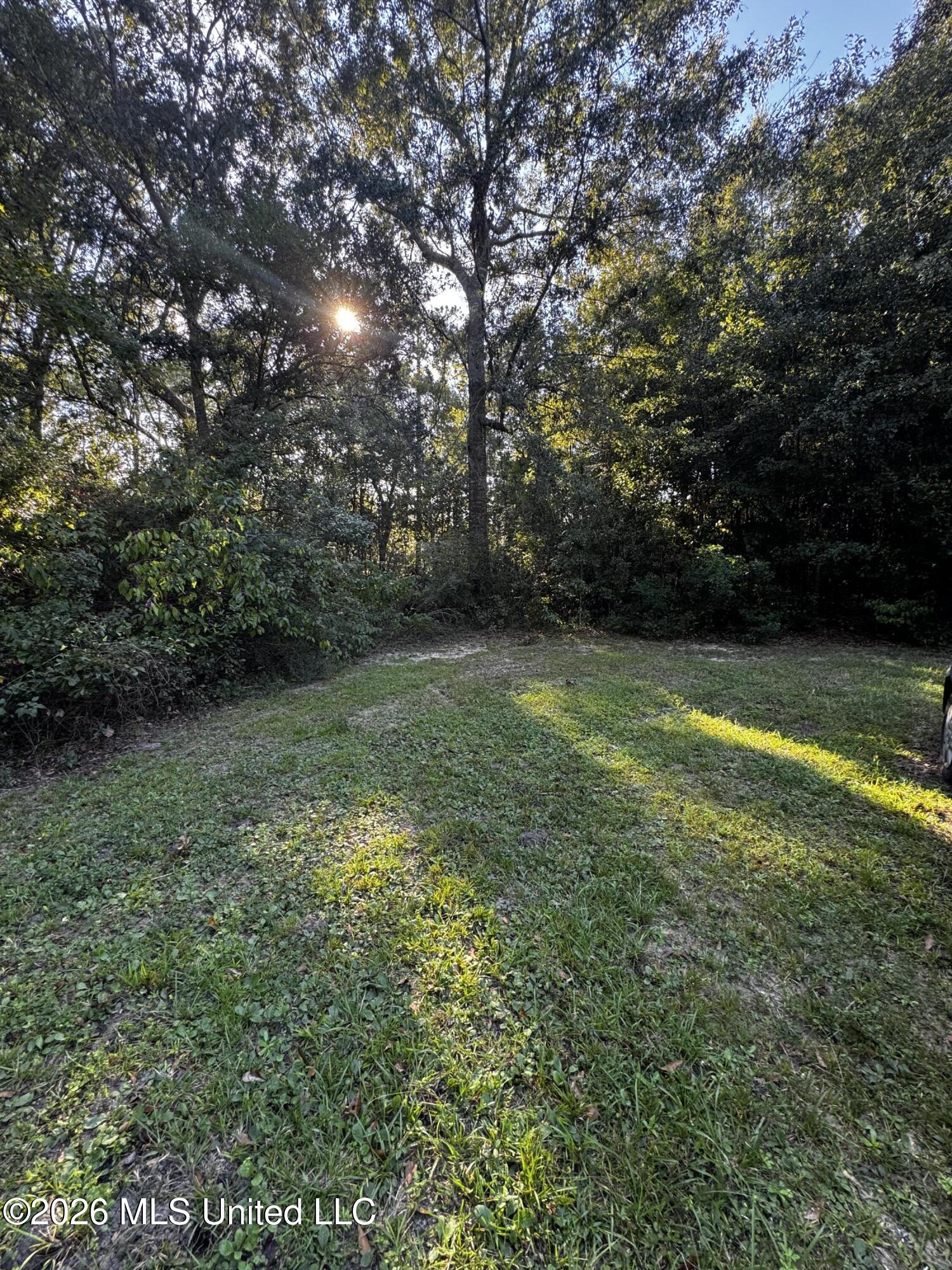 7611 Fish Hawk Road Property Photo 4
