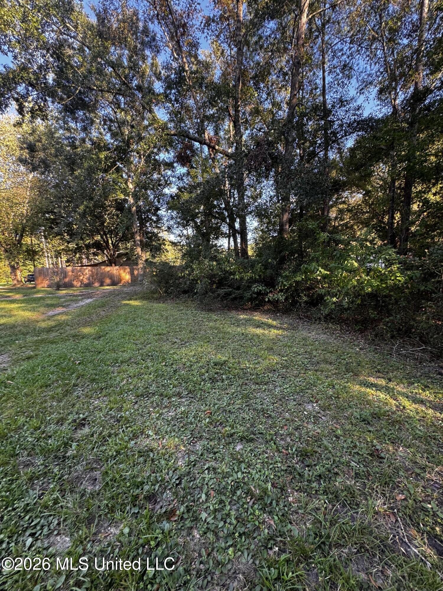 7611 Fish Hawk Road Property Photo 5