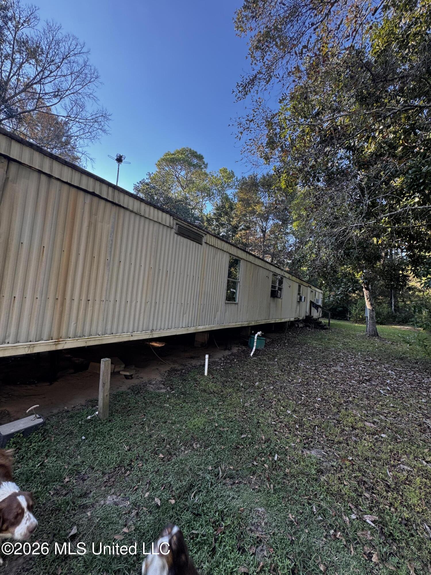 7611 Fish Hawk Road Property Photo 8