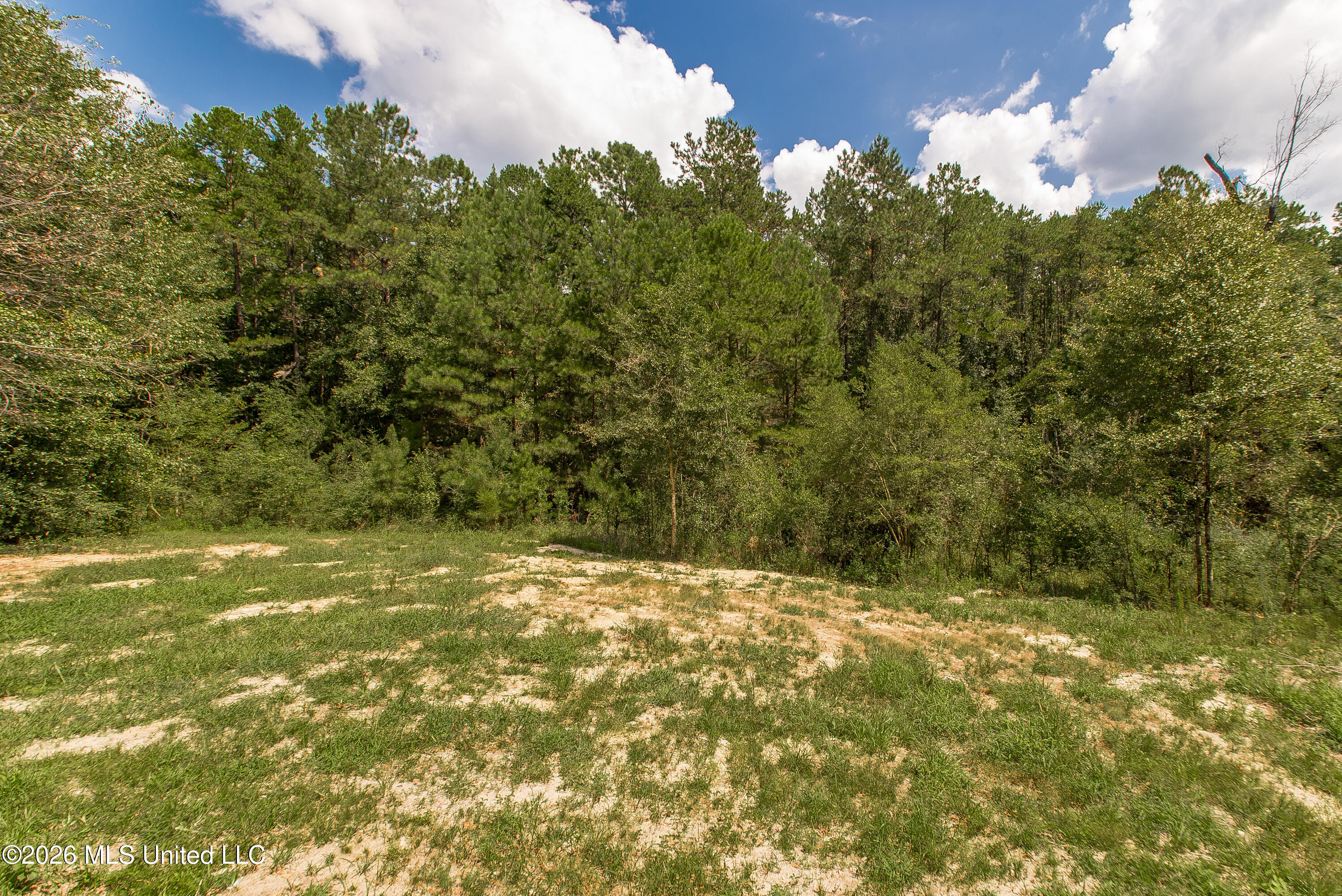 32212 Tom Warner Road Property Photo 38