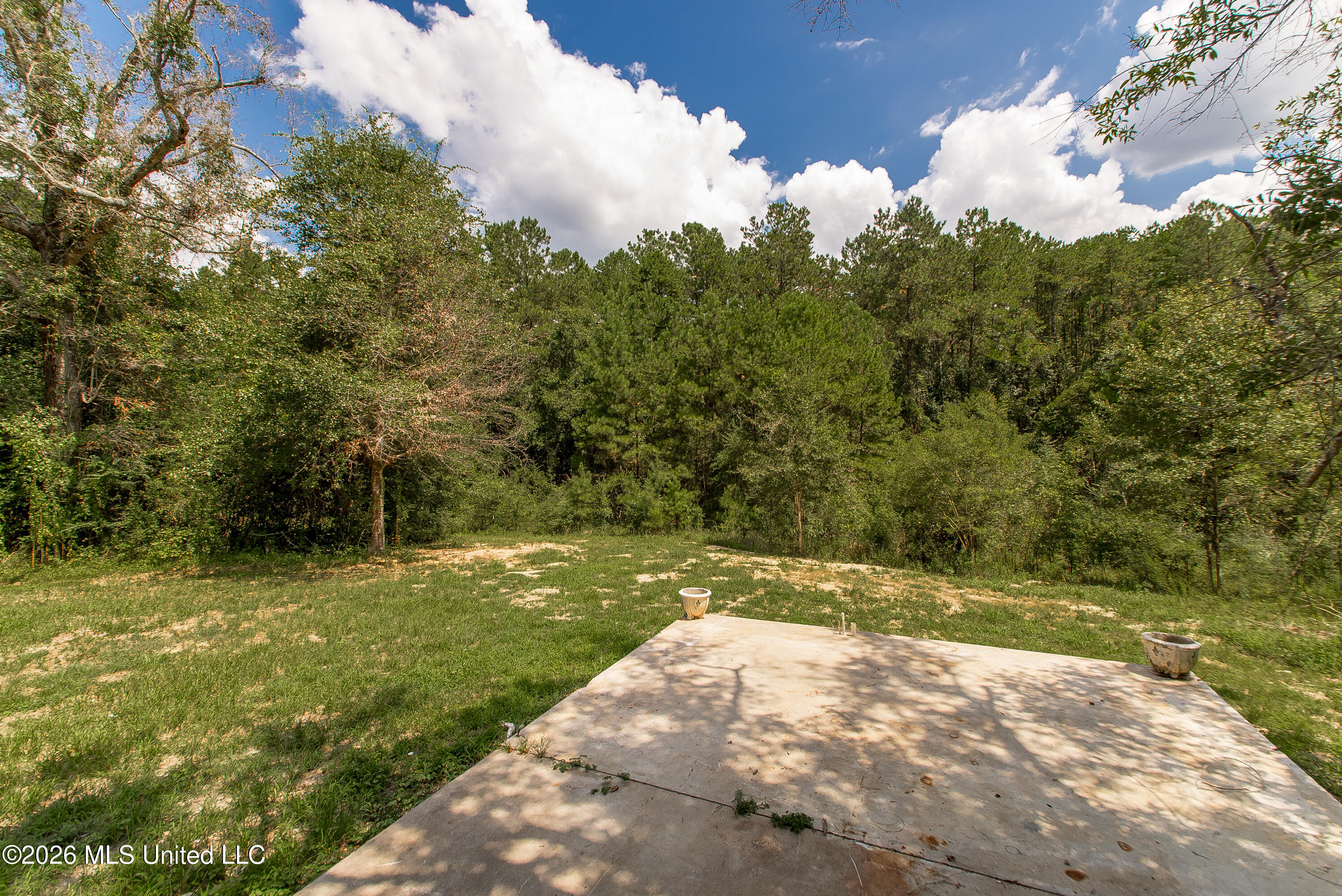 32212 Tom Warner Road Property Photo 42