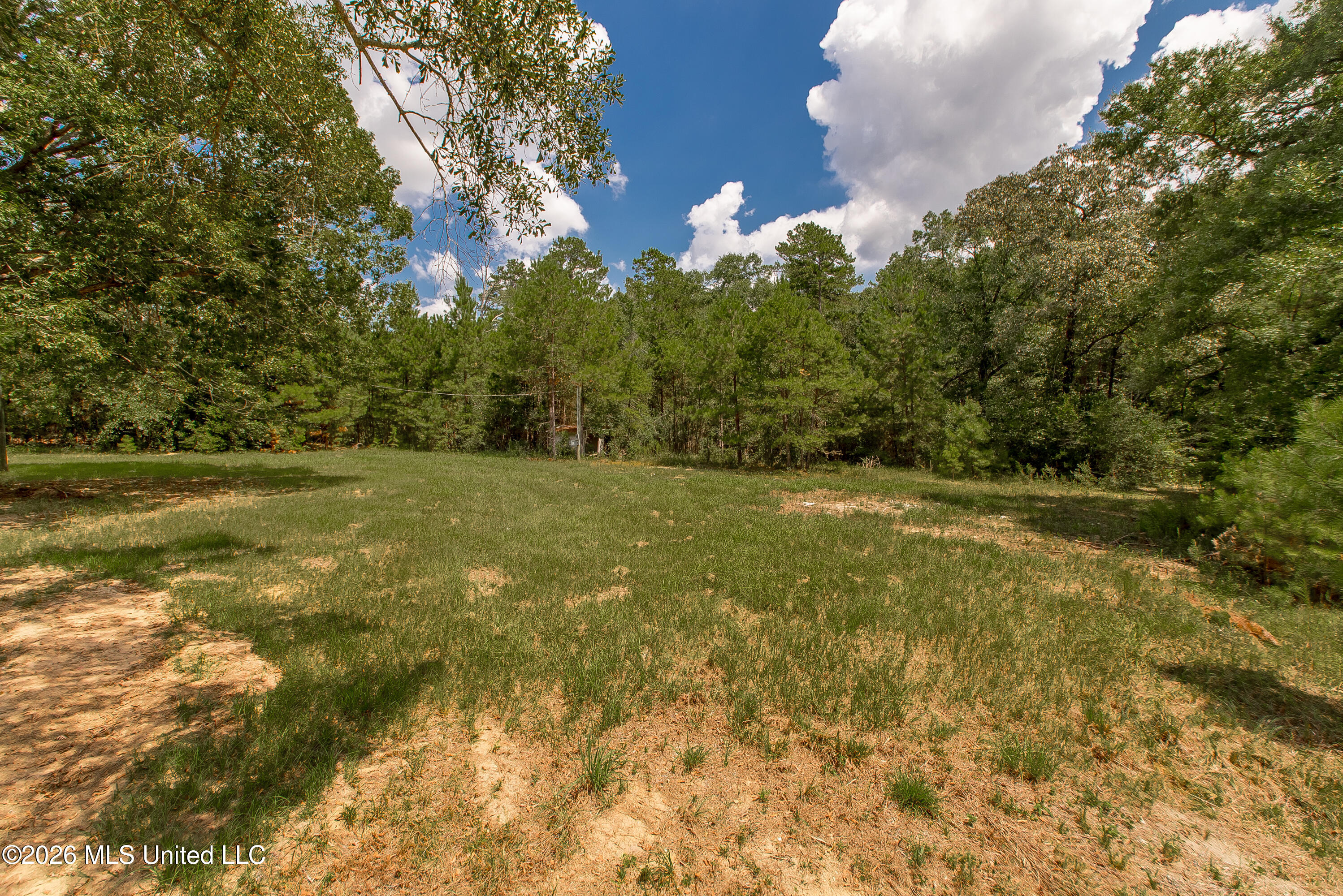 32212 Tom Warner Road Property Photo 44