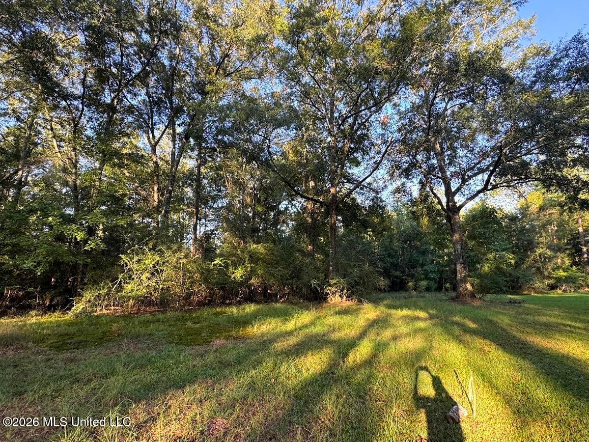5th Street Property Photo 1