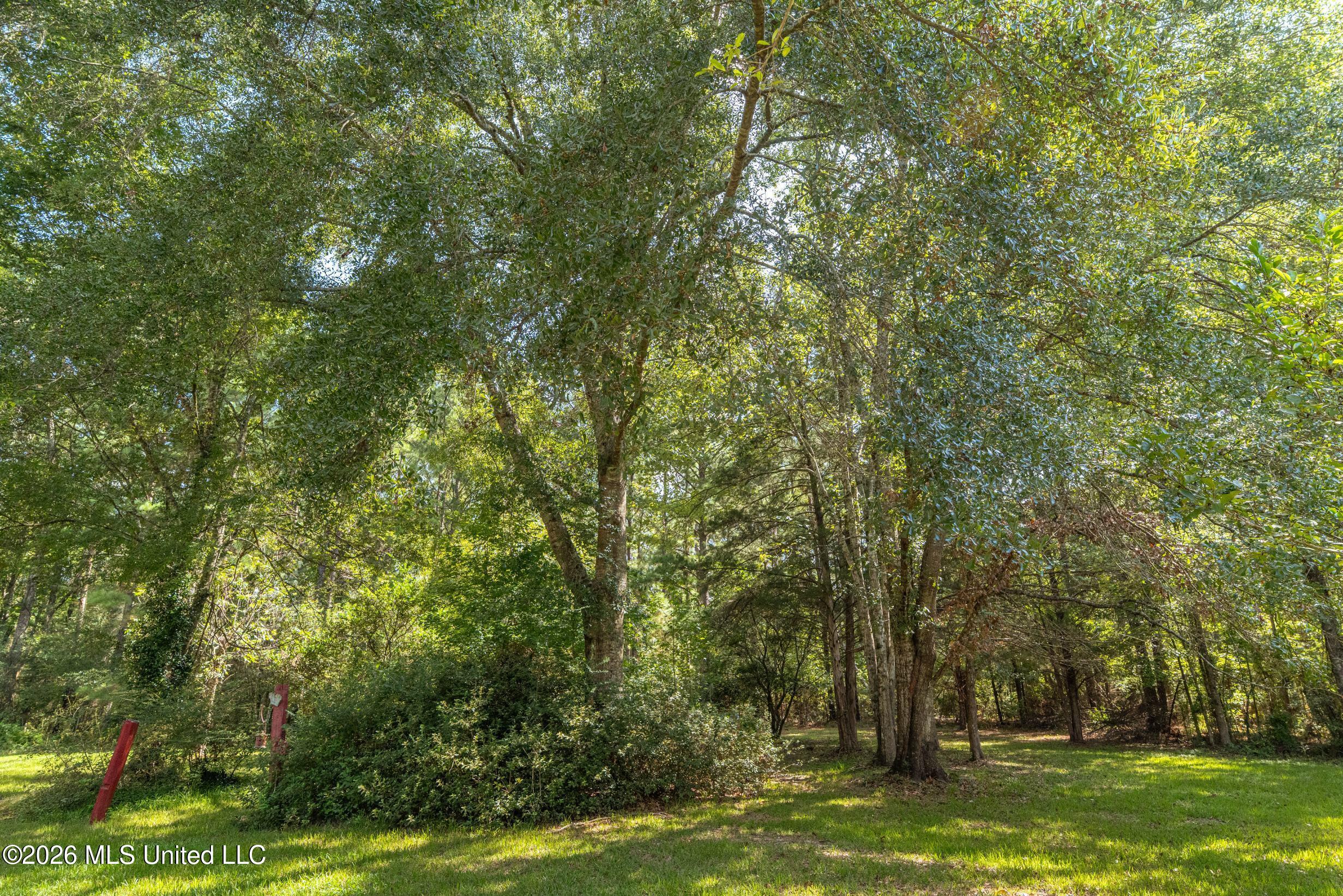 6240 Mississippi 567 Property Photo 48