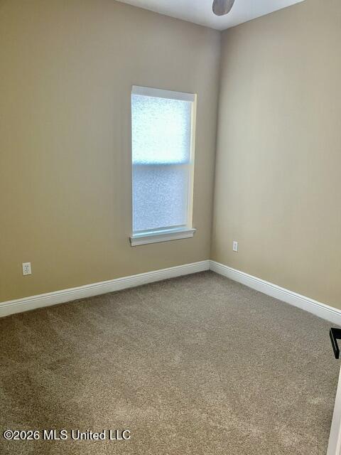 913 Park Row Avenue Property Photo 23