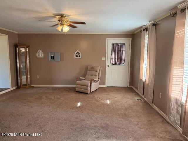 119 Little Warrior Property Photo 17