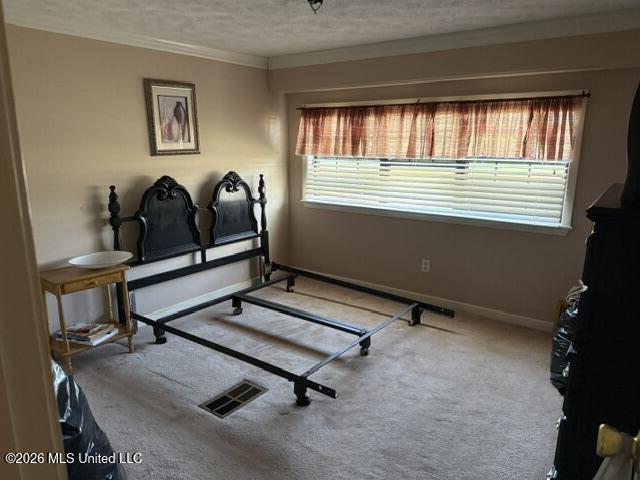 119 Little Warrior Property Photo 20