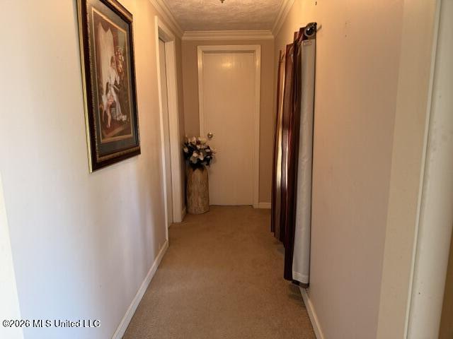 119 Little Warrior Property Photo 22