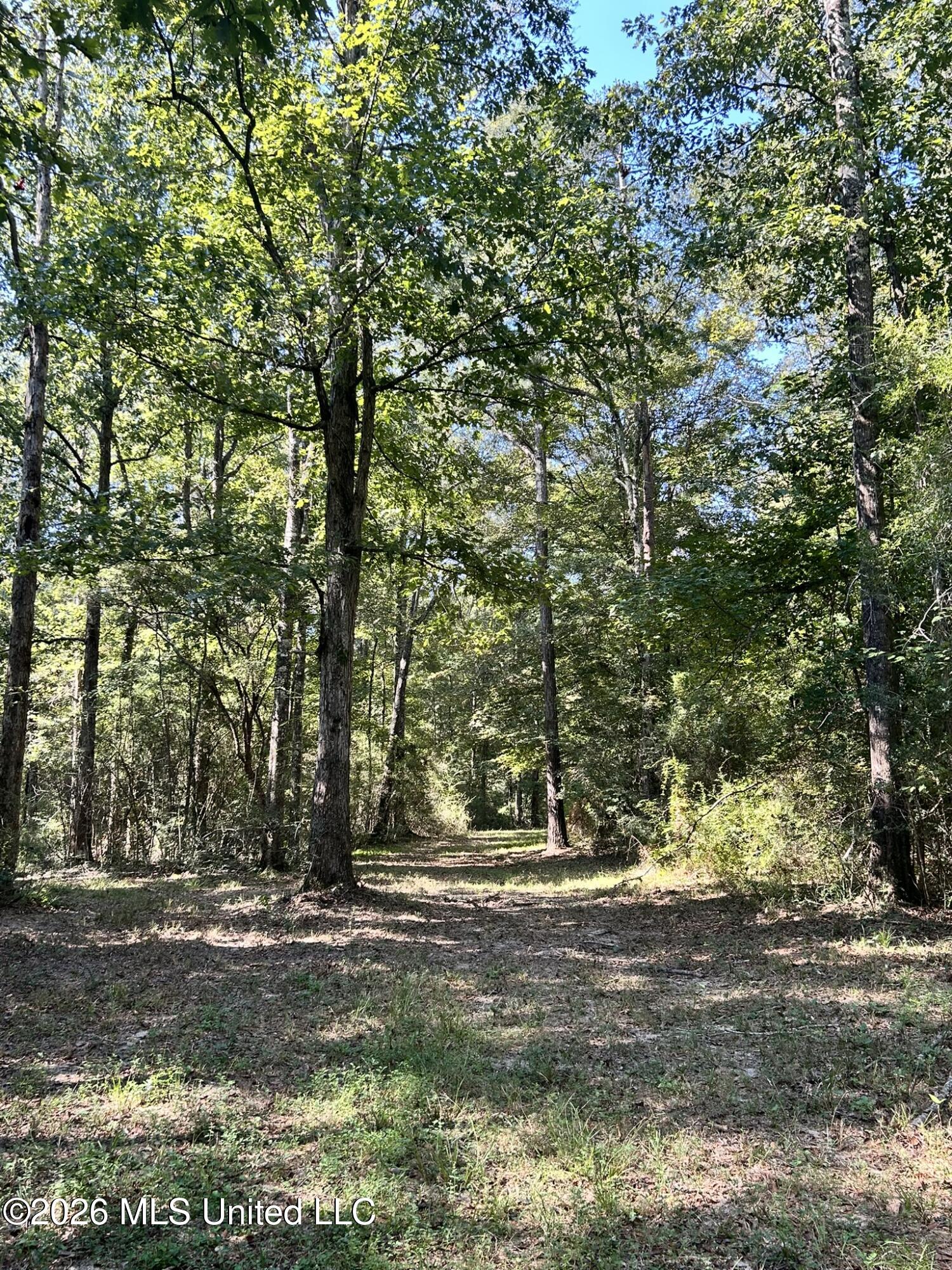 Dickey Mills Road Property Photo 1