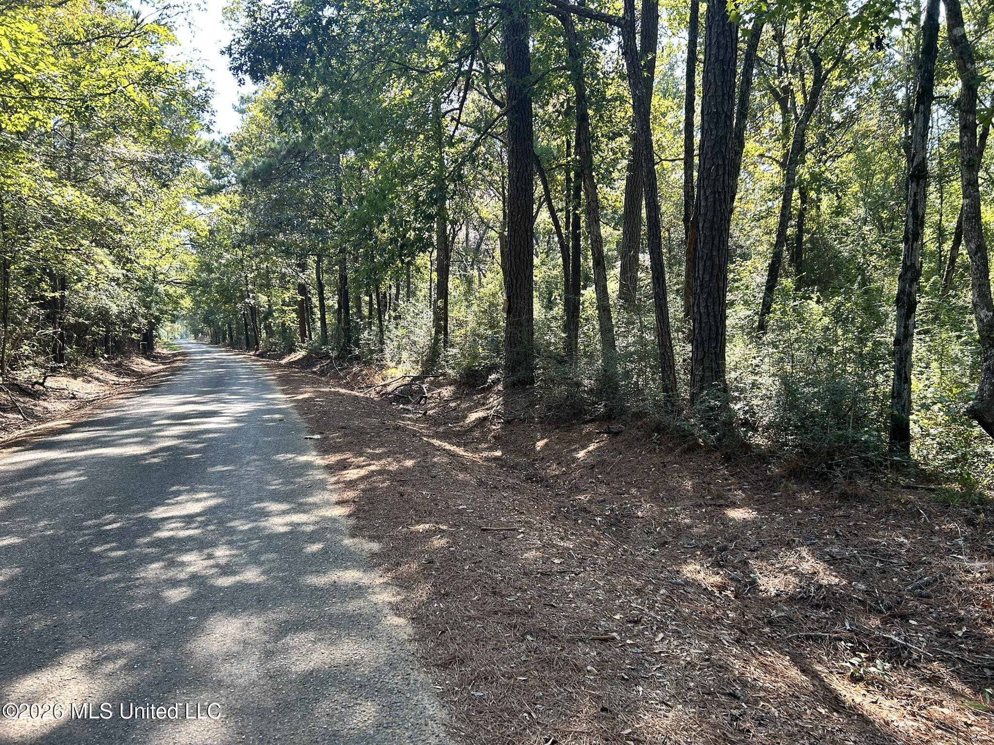 Dickey Mills Road Property Photo 2