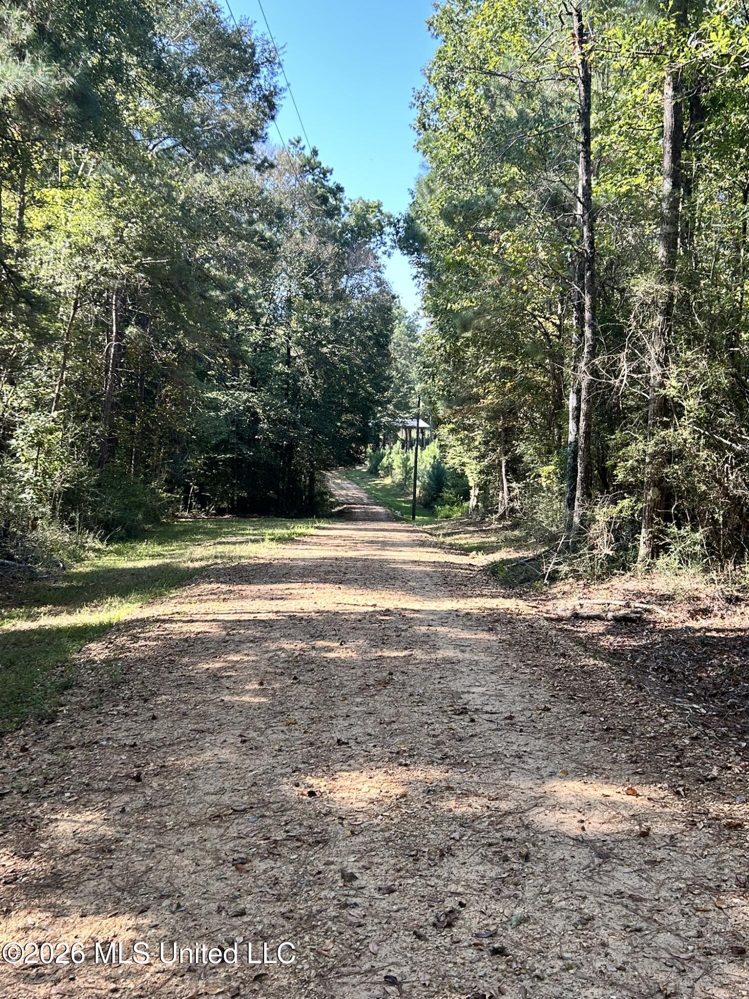 Dickey Mills Road Property Photo 4
