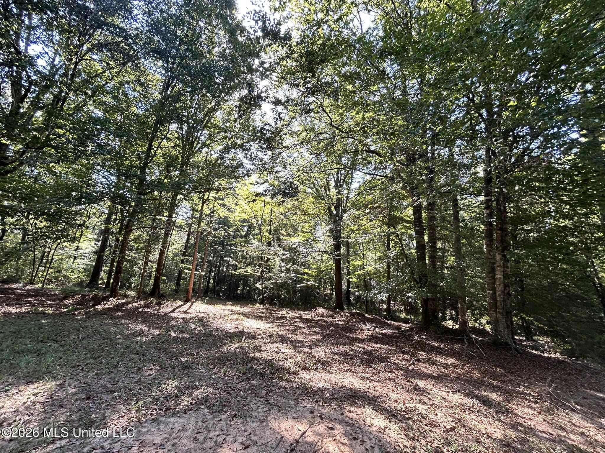 Dickey Mills Road Property Photo 5