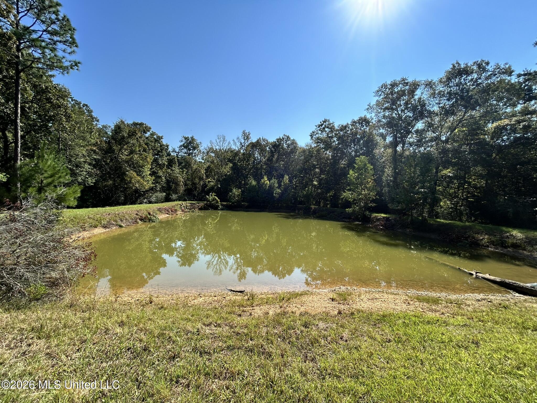 Dickey Mills Road Property Photo 6