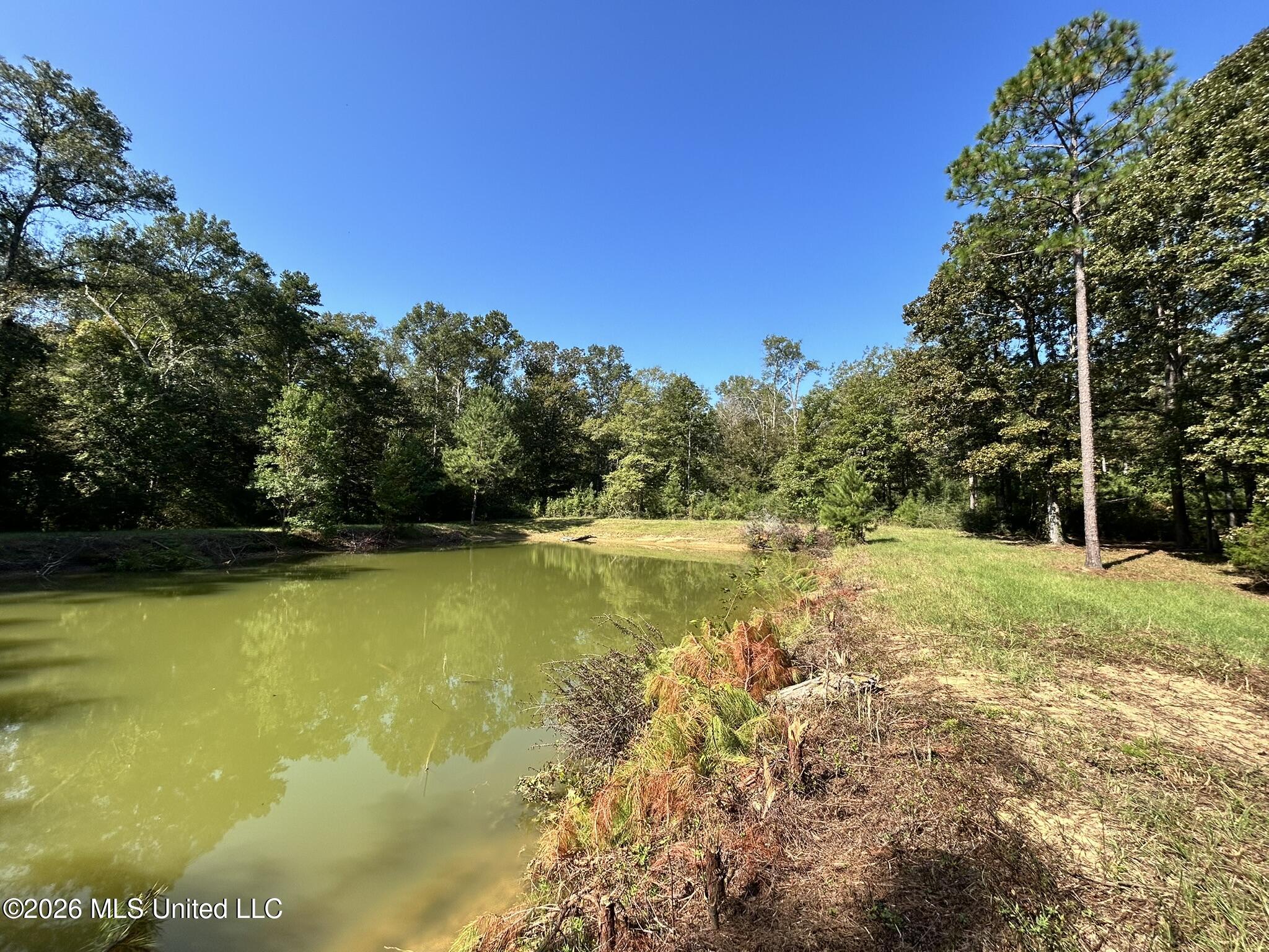 Dickey Mills Road Property Photo 7