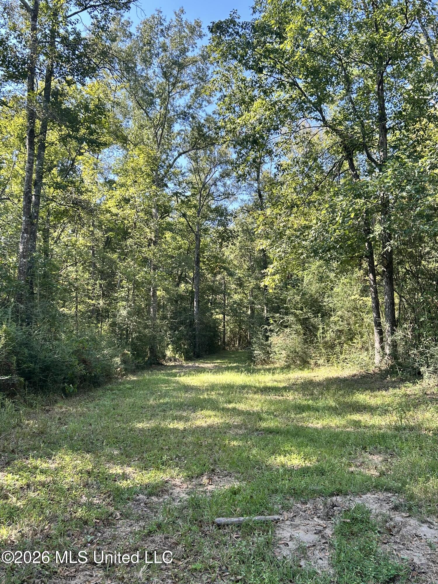 Dickey Mills Road Property Photo 8