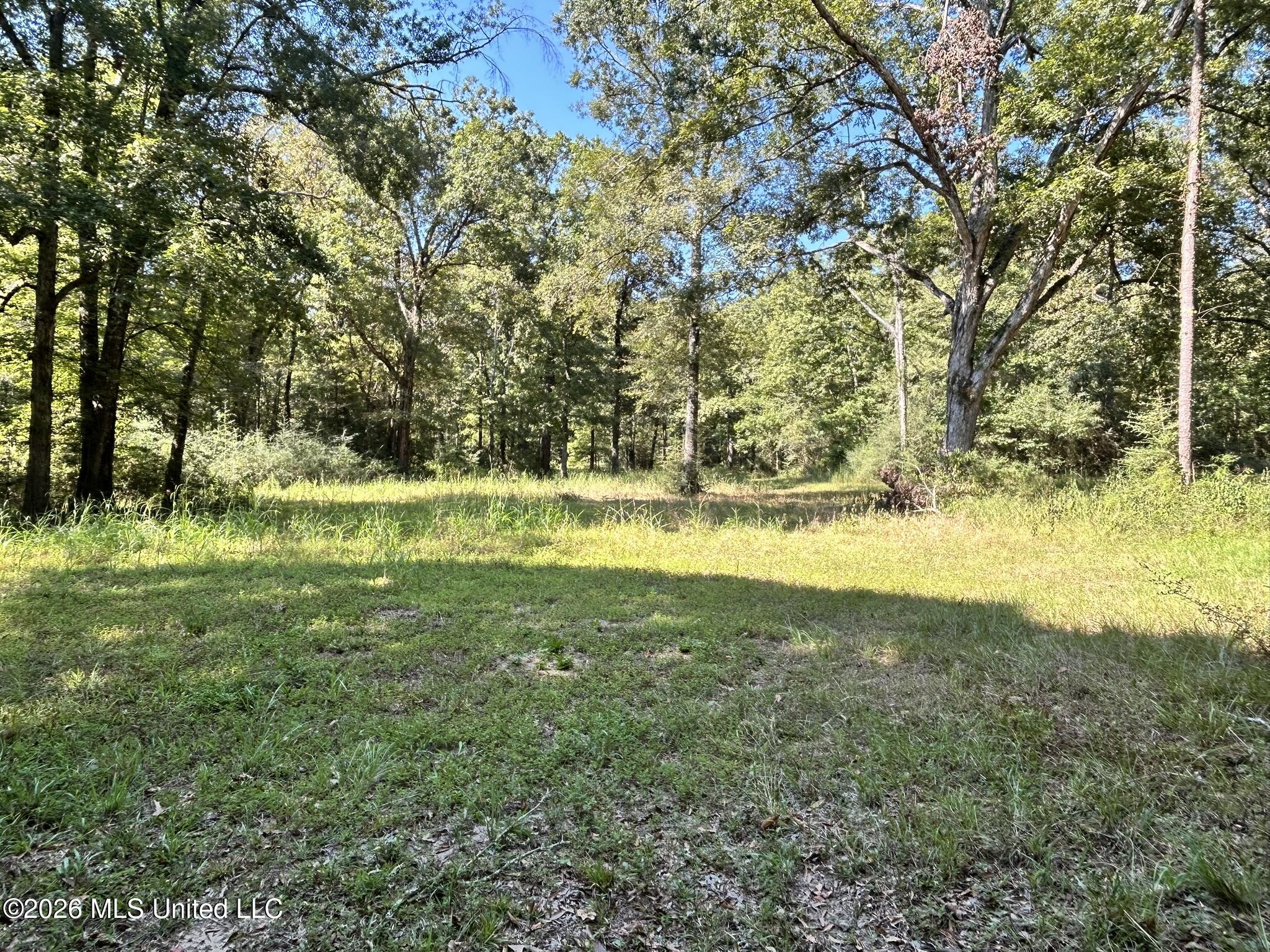 Dickey Mills Road Property Photo 9