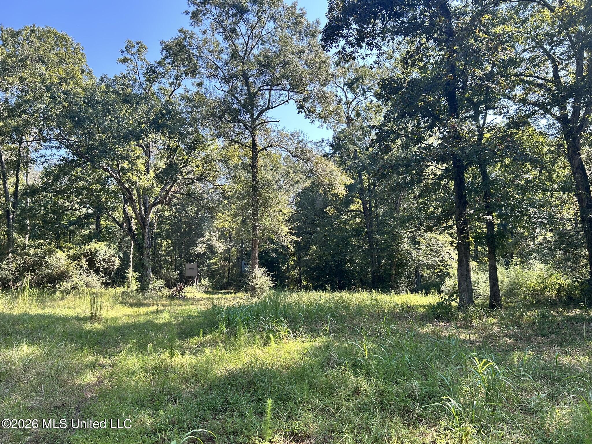 Dickey Mills Road Property Photo 10