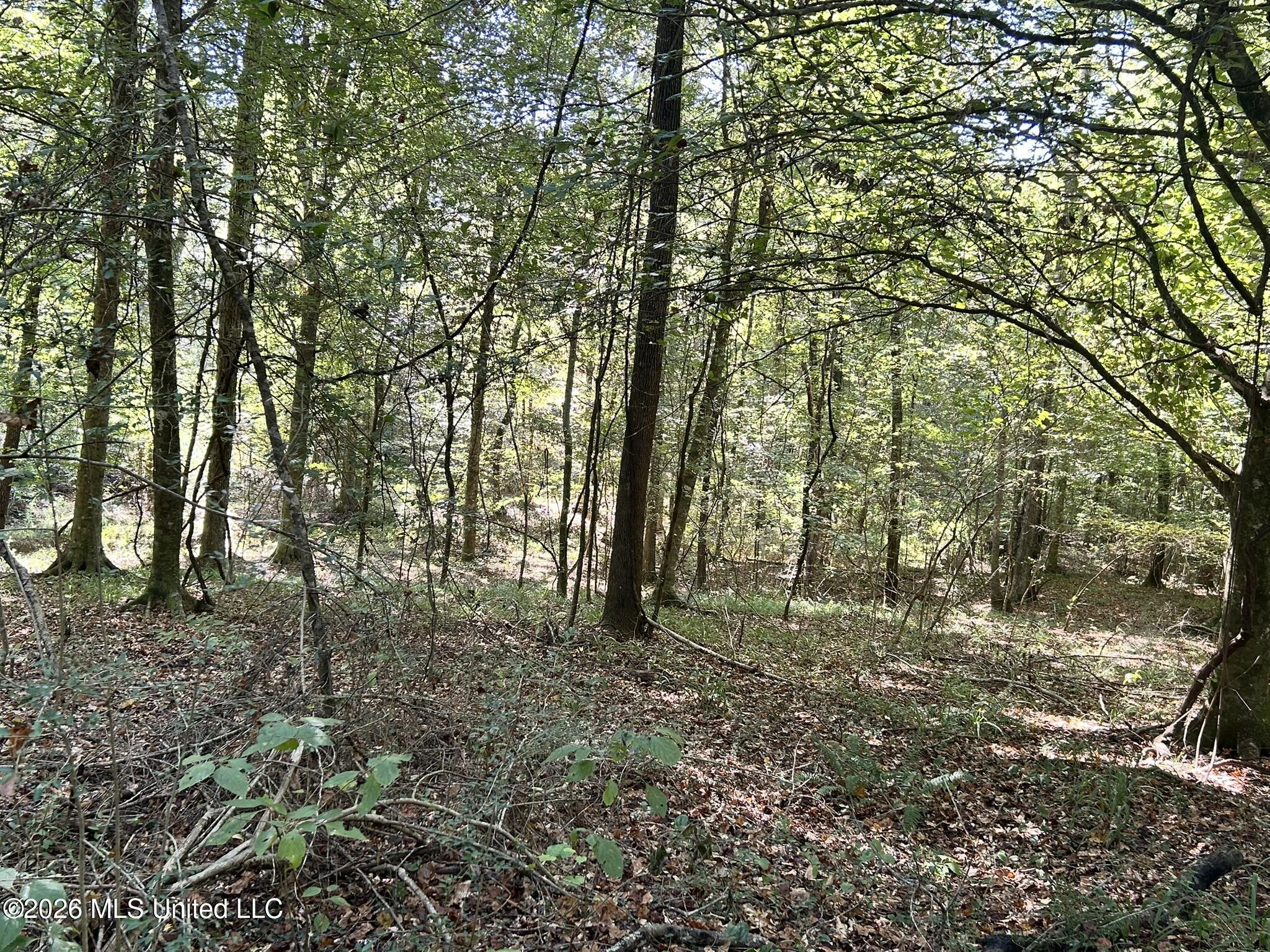 Dickey Mills Road Property Photo 14