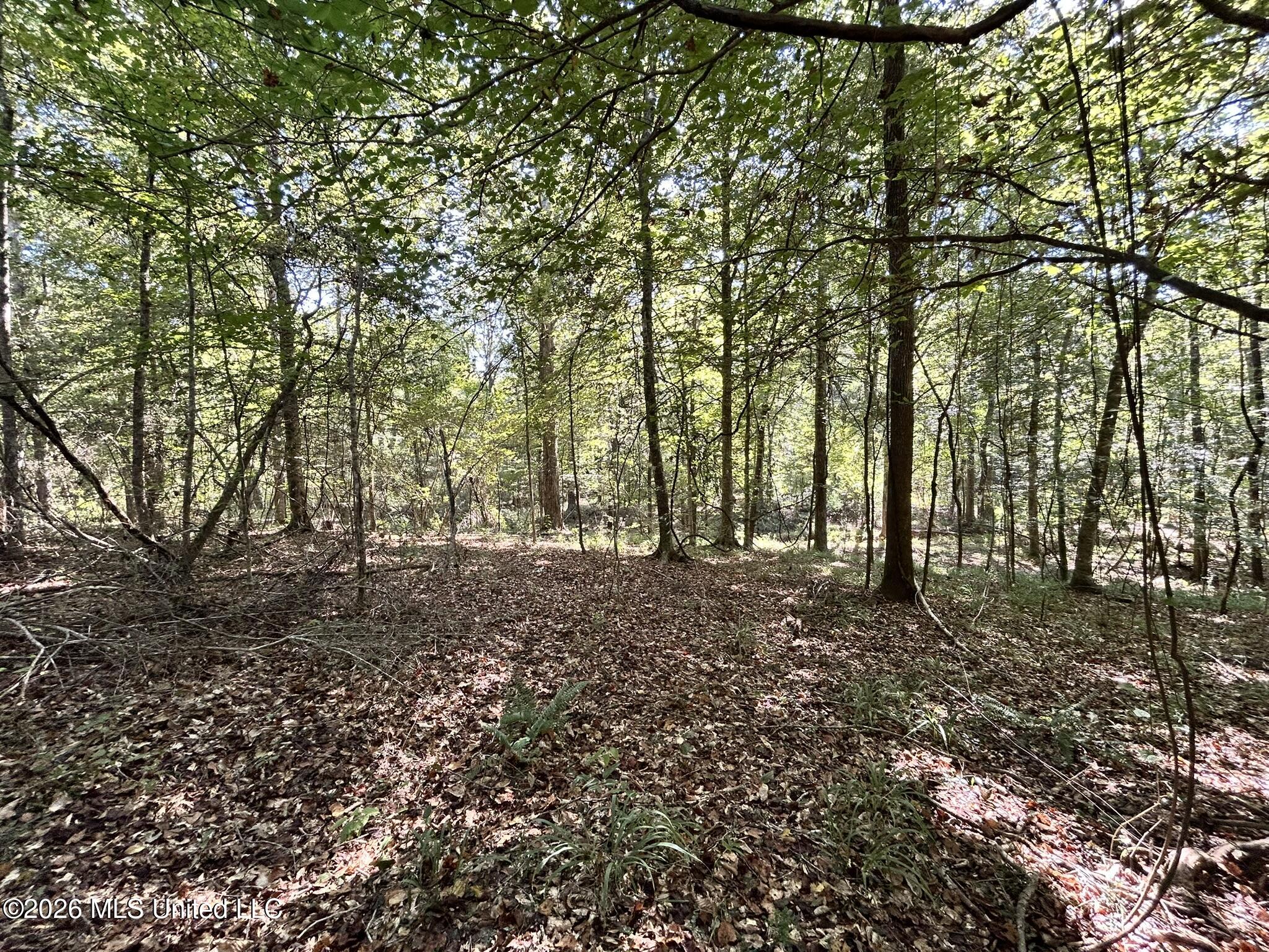 Dickey Mills Road Property Photo 15