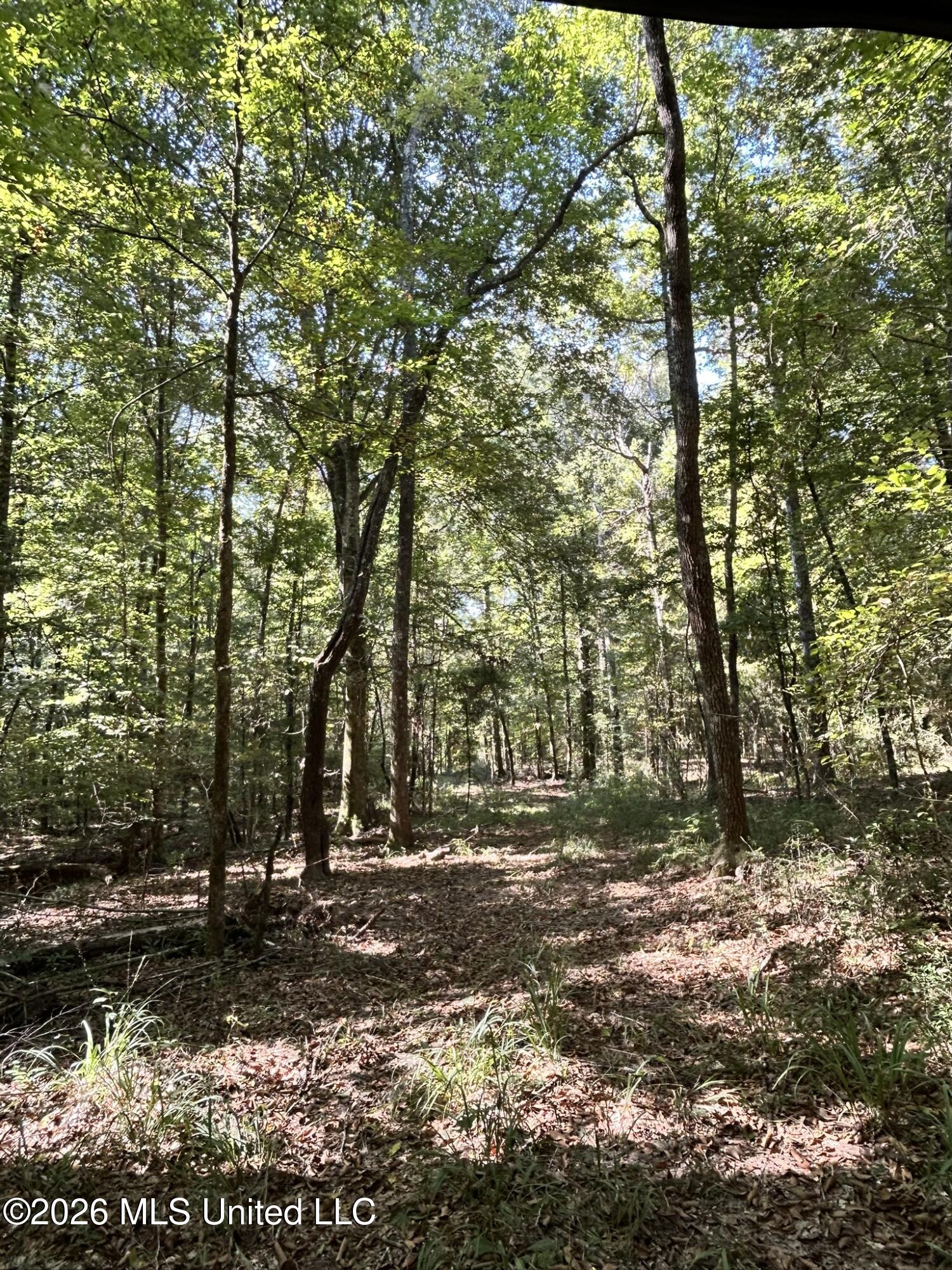 Dickey Mills Road Property Photo 17
