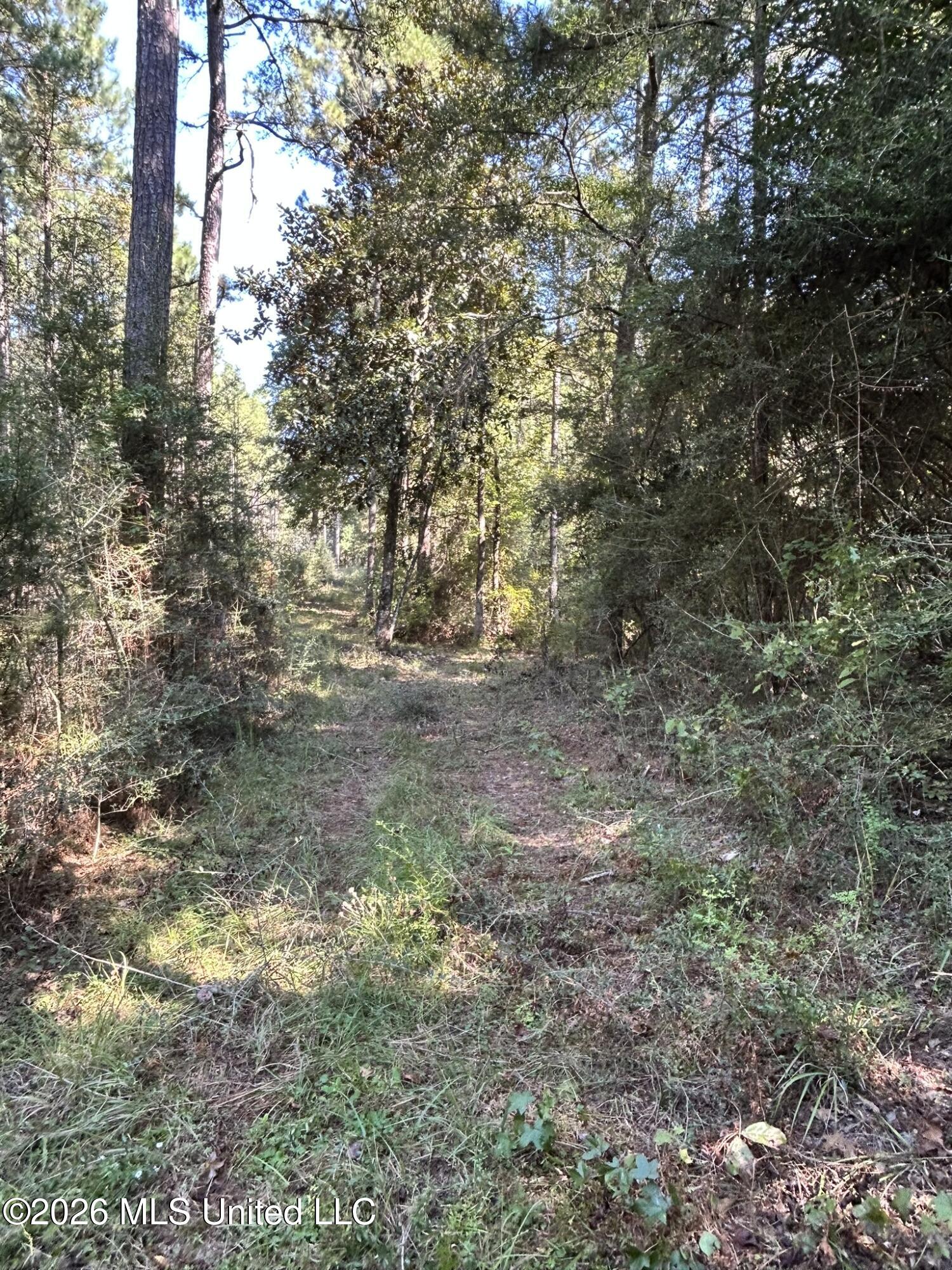 Dickey Mills Road Property Photo 18