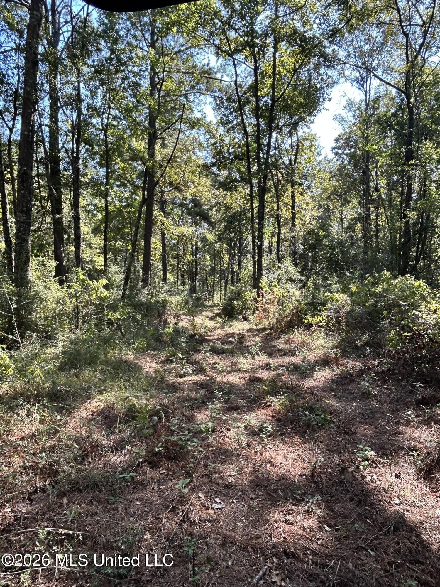 Dickey Mills Road Property Photo 19