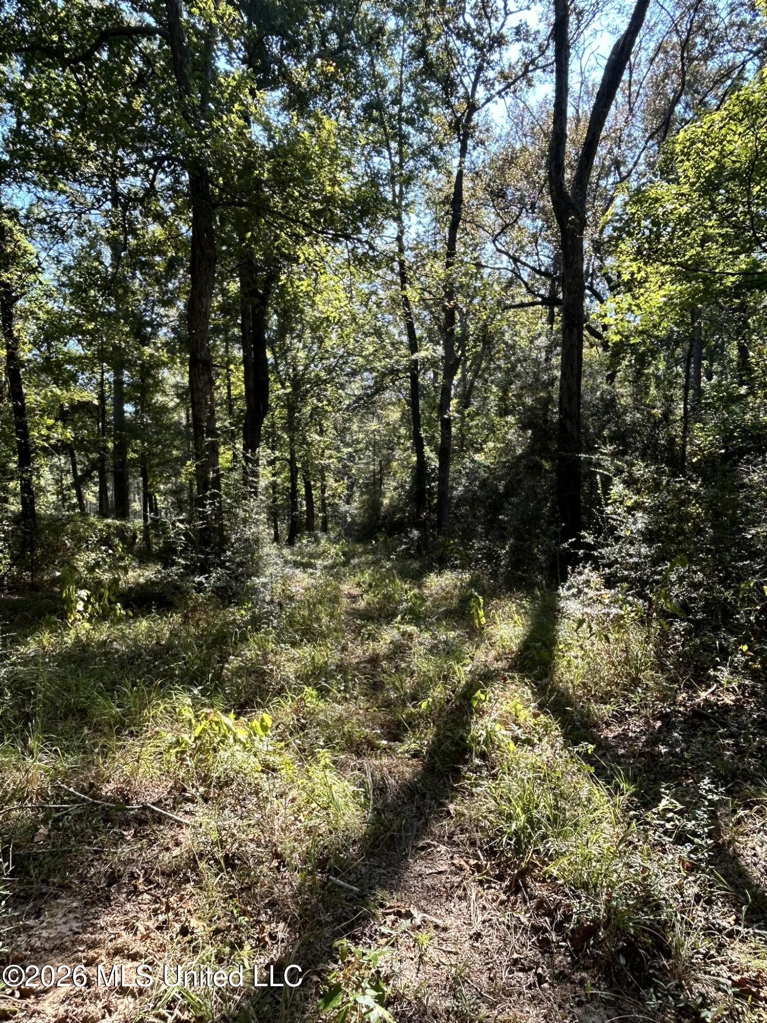 Dickey Mills Road Property Photo 20