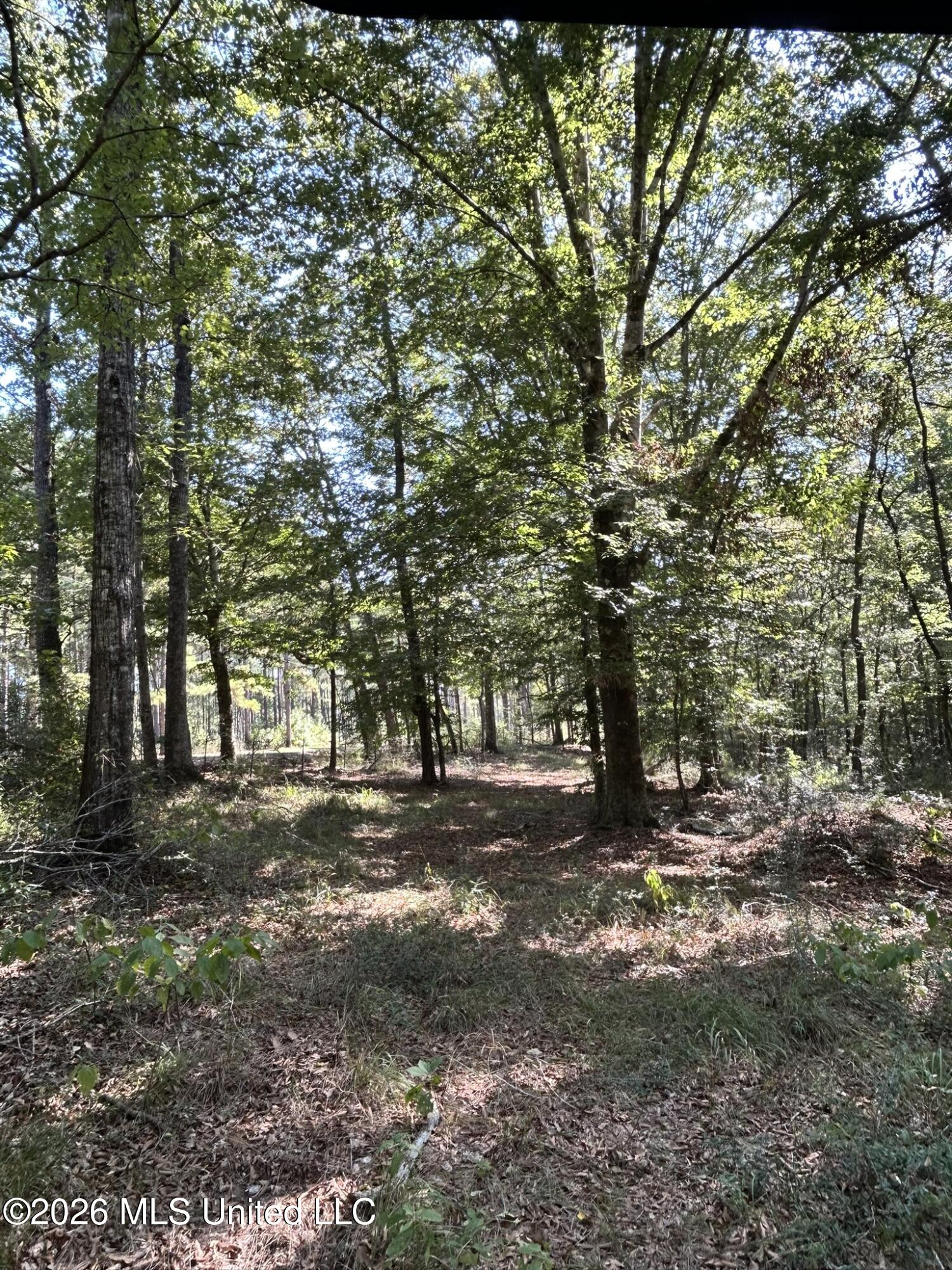 Dickey Mills Road Property Photo 21