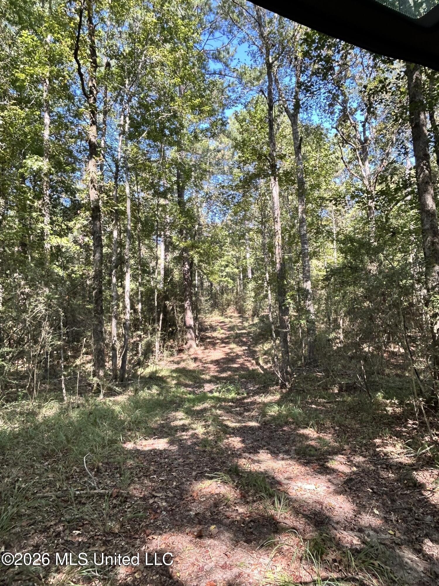 Dickey Mills Road Property Photo 22